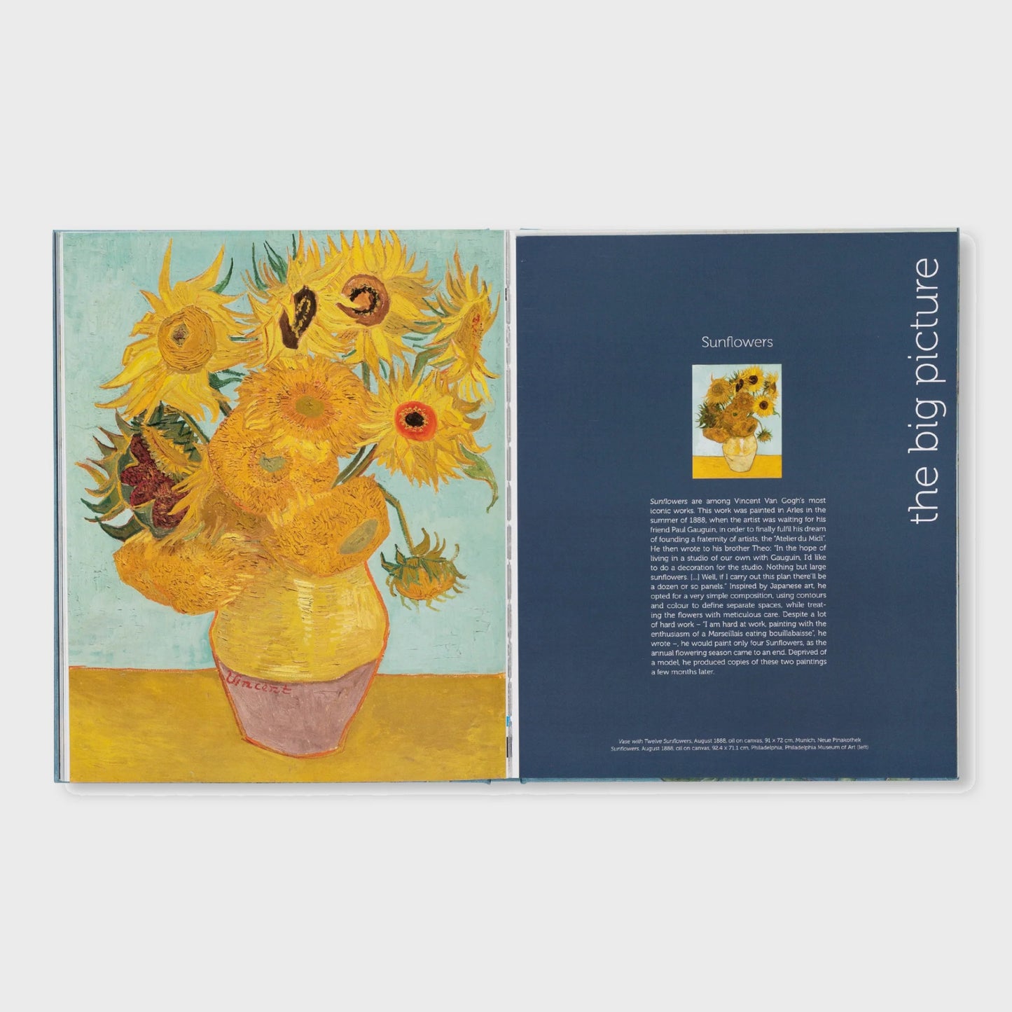 VAN GOGH - THE BIGGER PICTURE by Anne Sefrioui