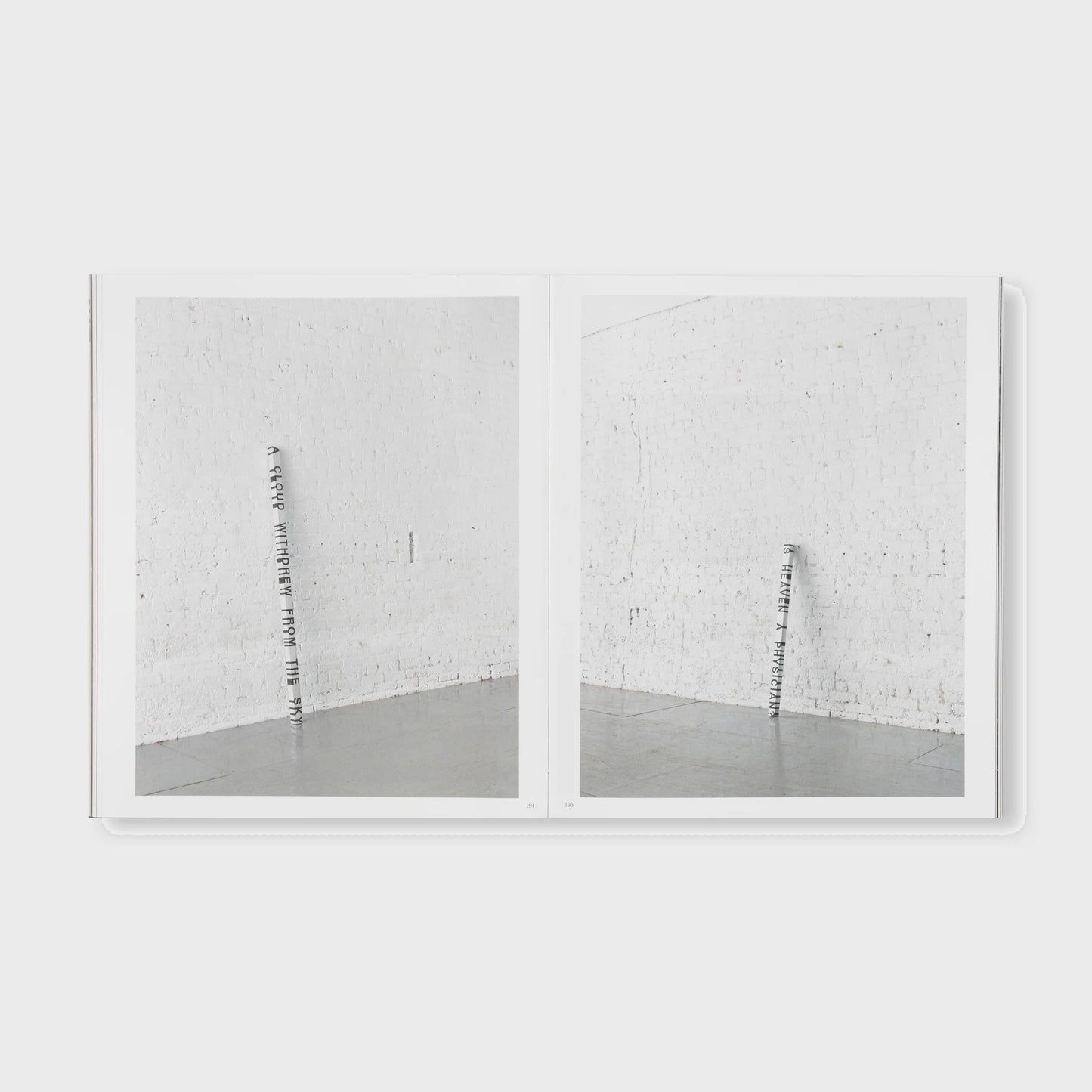 THE DETOUR OF IDENTITY by Roni Horn