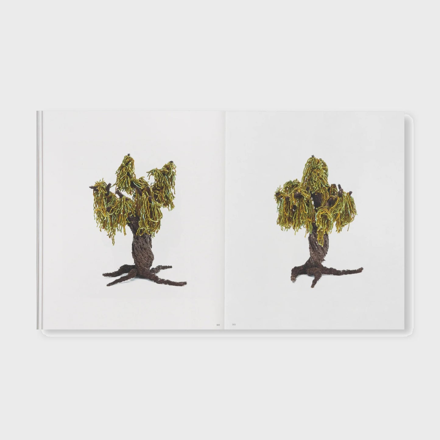 THE DETOUR OF IDENTITY by Roni Horn