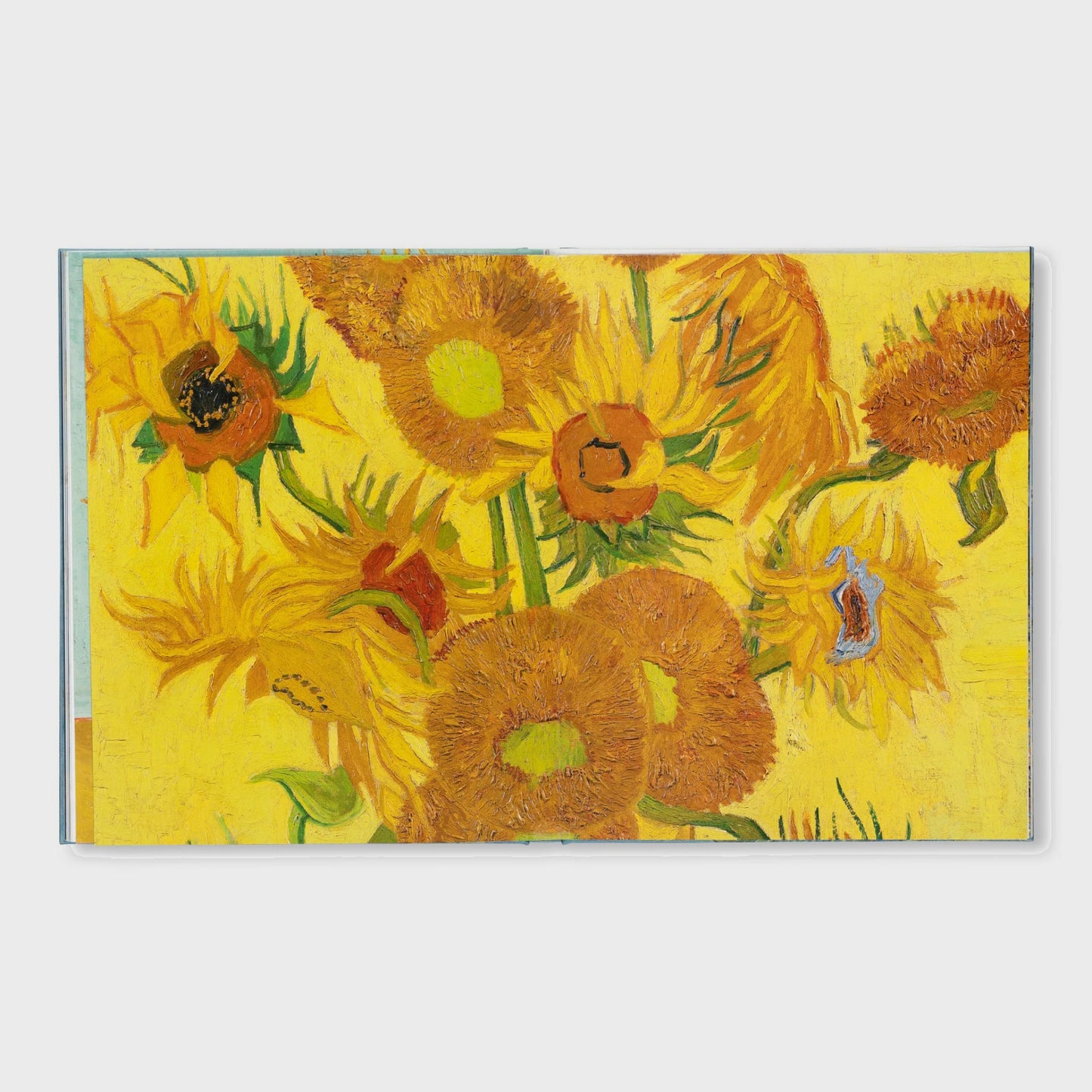VAN GOGH - THE BIGGER PICTURE by Anne Sefrioui