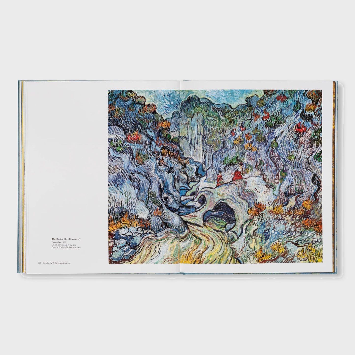VAN GOGH - THE BIGGER PICTURE by Anne Sefrioui