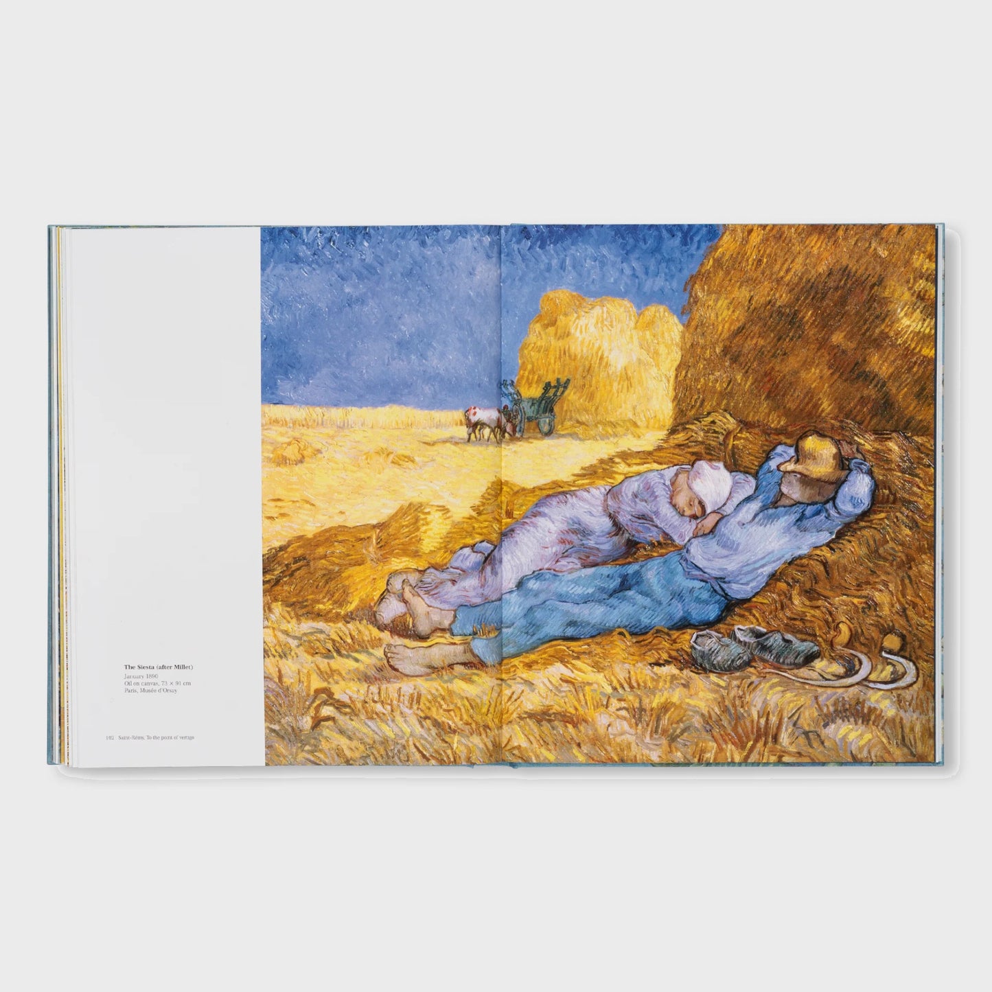VAN GOGH - THE BIGGER PICTURE by Anne Sefrioui