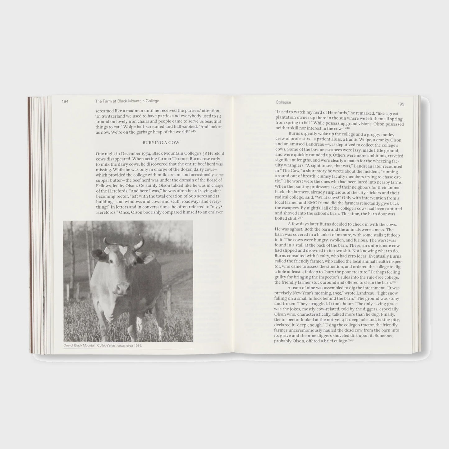 THE FARM AT BLACK MOUNTAIN COLLEGE by David Silver