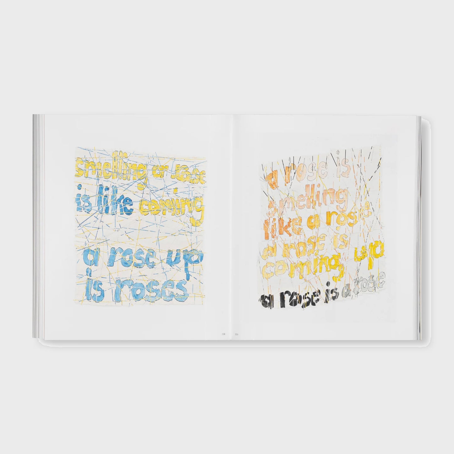 THE DETOUR OF IDENTITY by Roni Horn