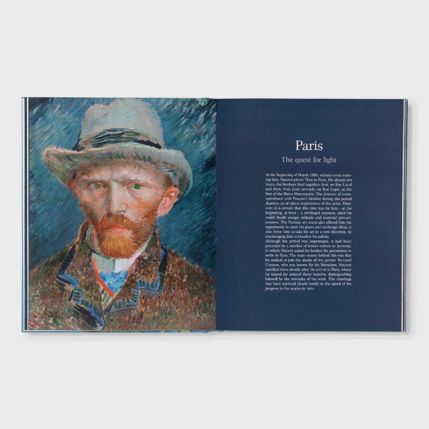VAN GOGH - THE BIGGER PICTURE by Anne Sefrioui