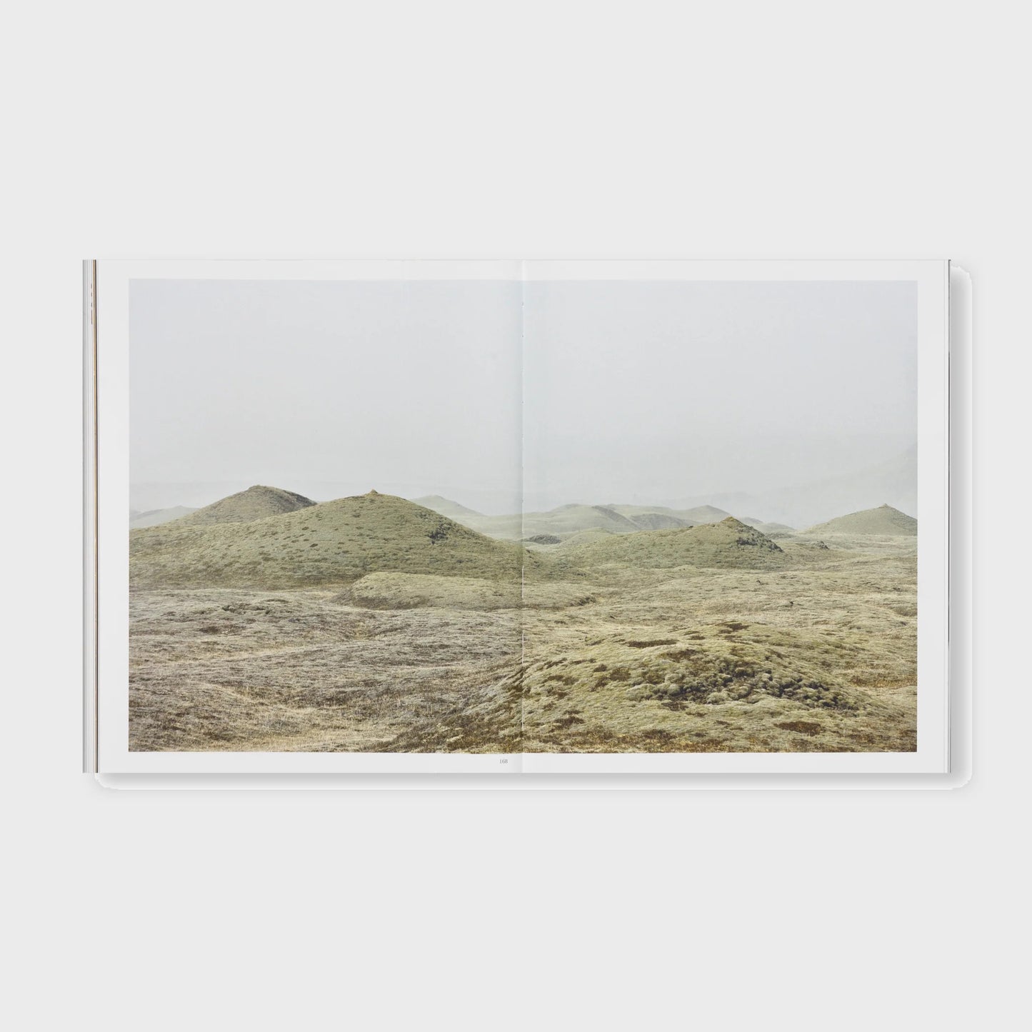 THE DETOUR OF IDENTITY by Roni Horn