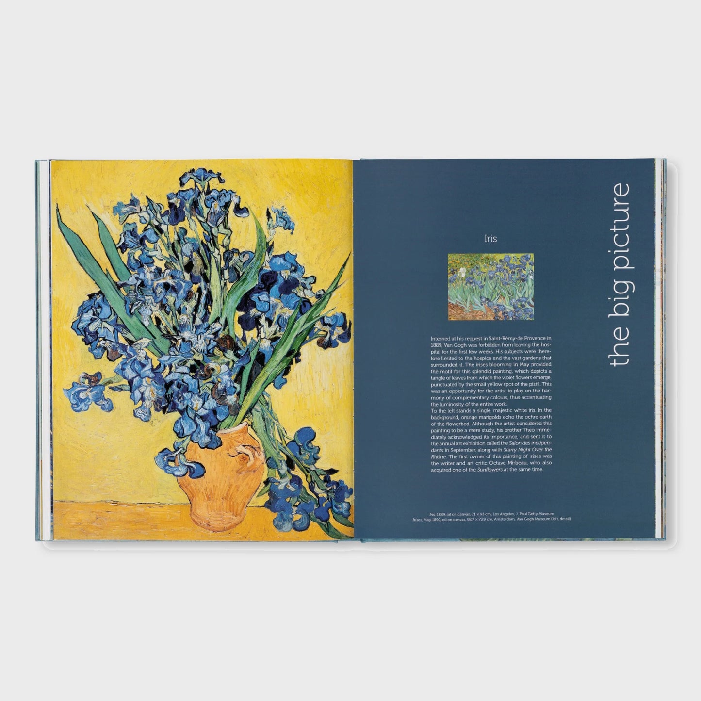 VAN GOGH - THE BIGGER PICTURE by Anne Sefrioui