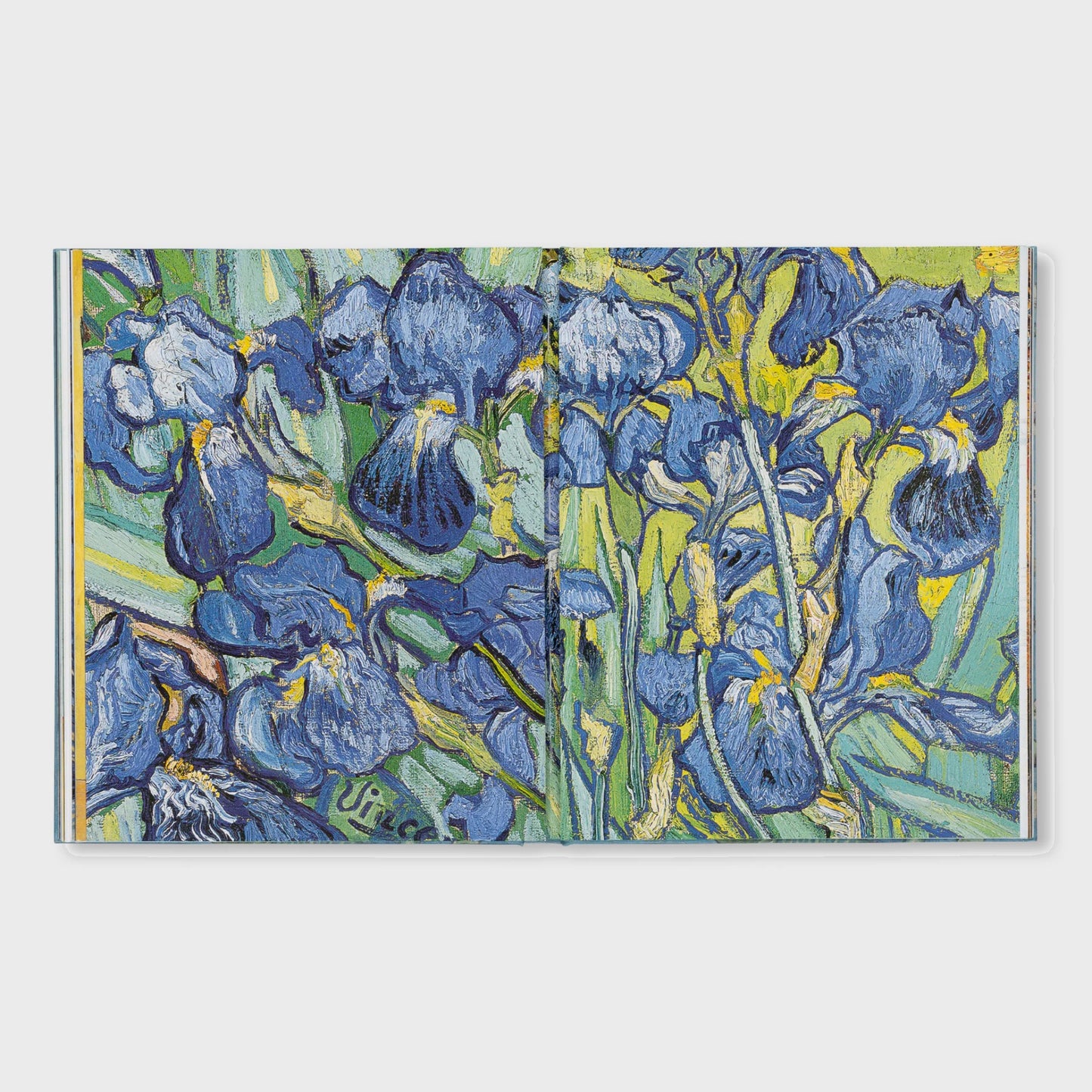 VAN GOGH - THE BIGGER PICTURE by Anne Sefrioui