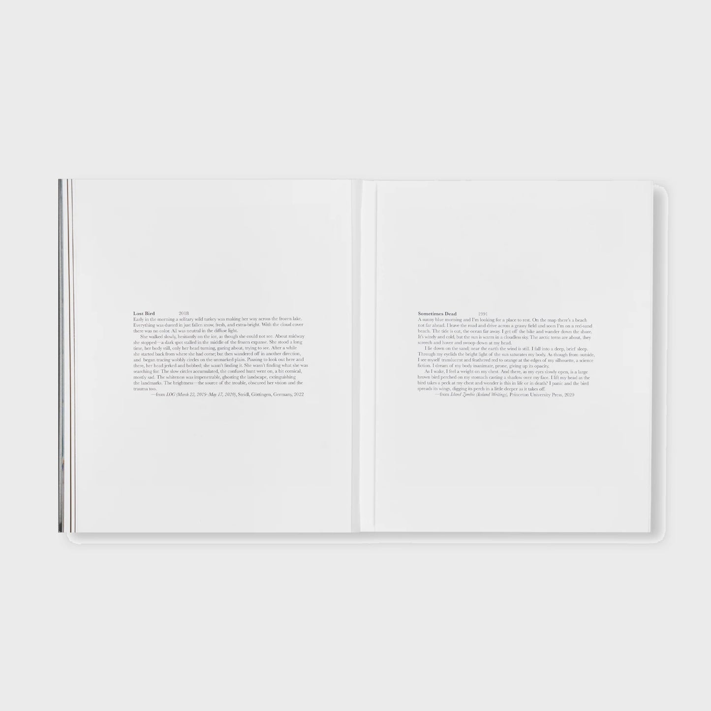 THE DETOUR OF IDENTITY by Roni Horn