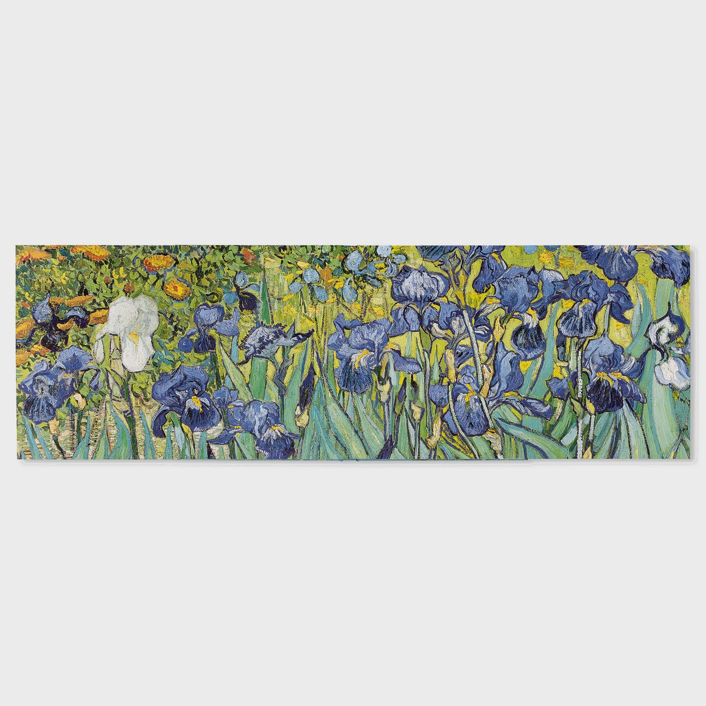 VAN GOGH - THE BIGGER PICTURE by Anne Sefrioui