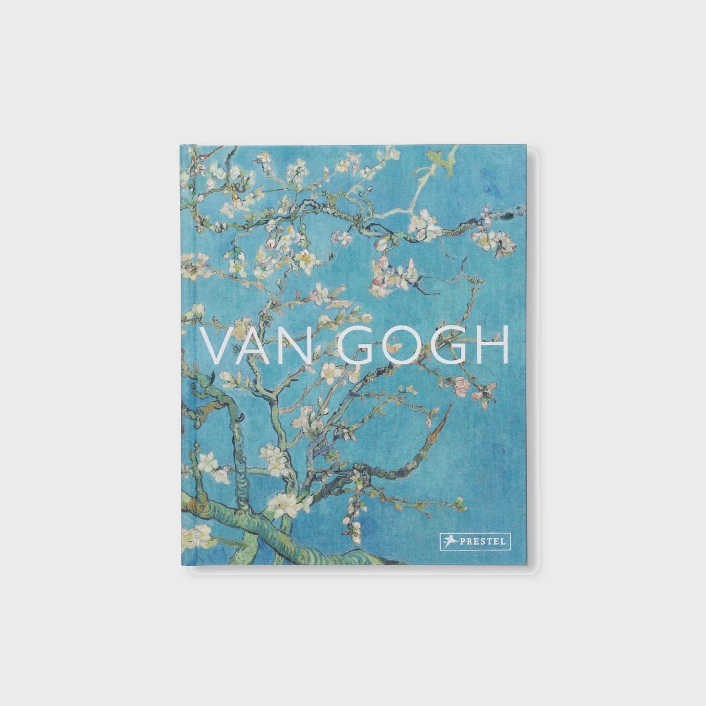 VAN GOGH - THE BIGGER PICTURE by Anne Sefrioui