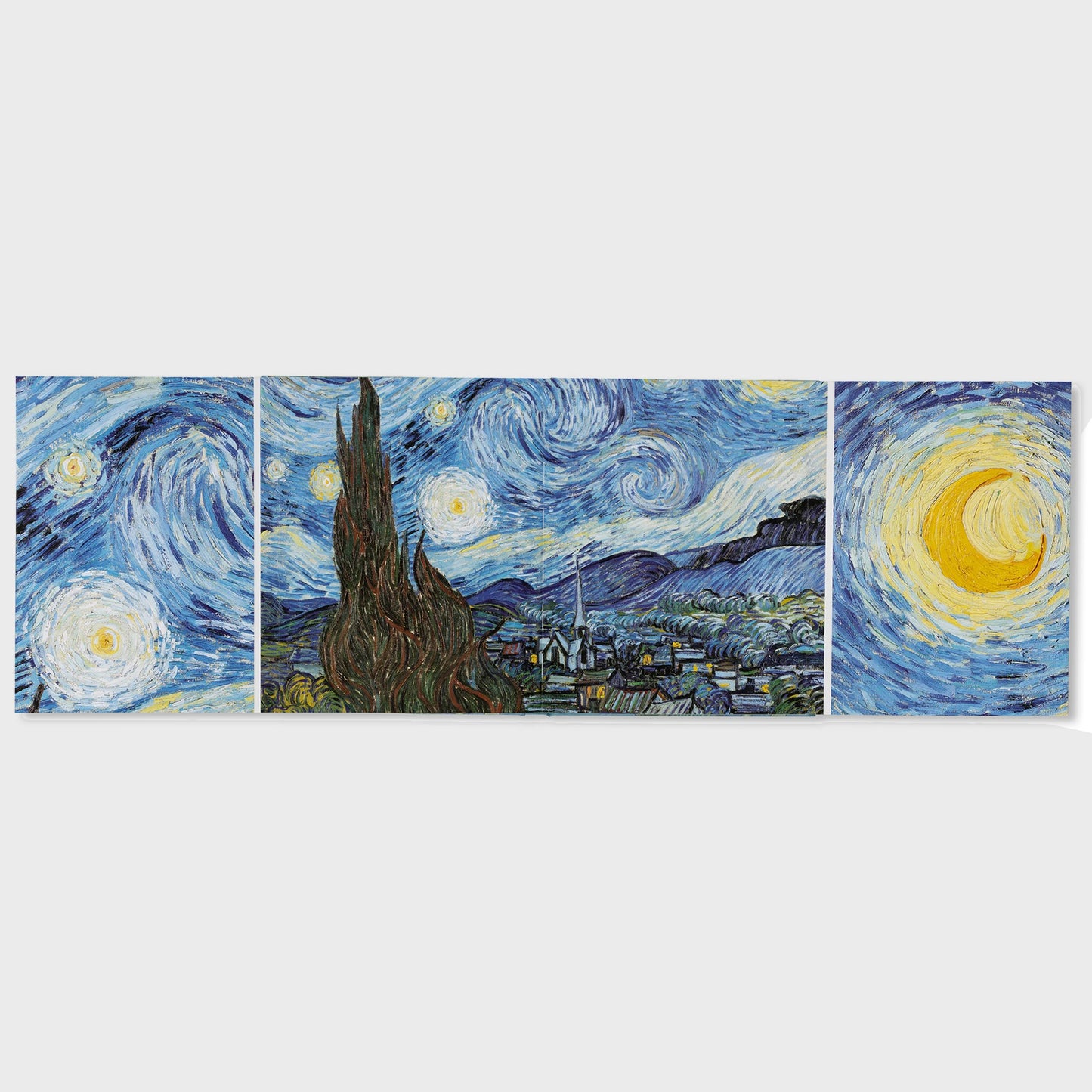 VAN GOGH - THE BIGGER PICTURE by Anne Sefrioui
