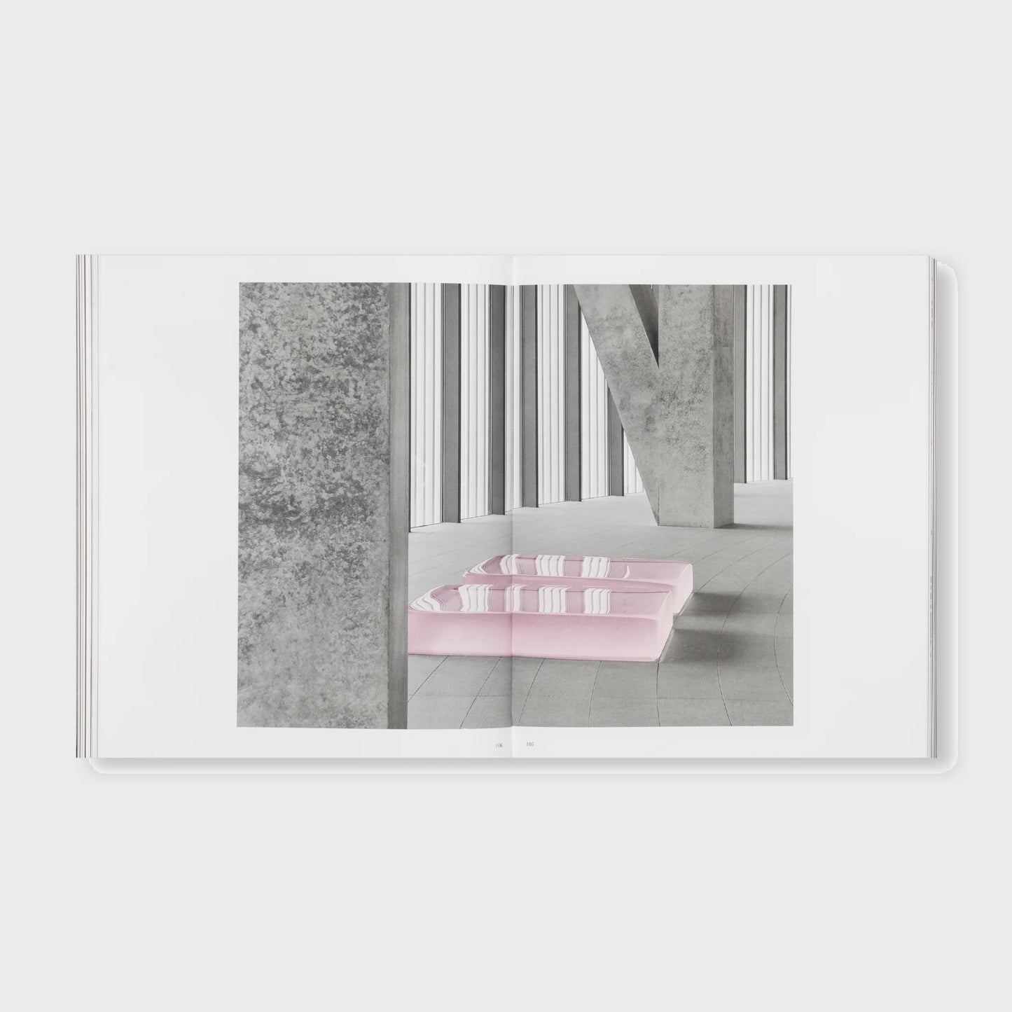 THE DETOUR OF IDENTITY by Roni Horn