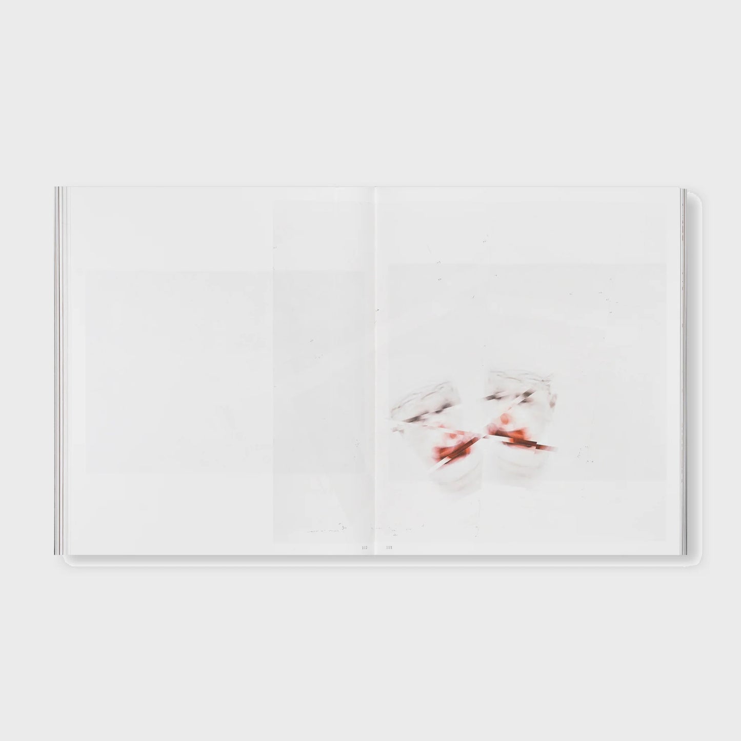 THE DETOUR OF IDENTITY by Roni Horn