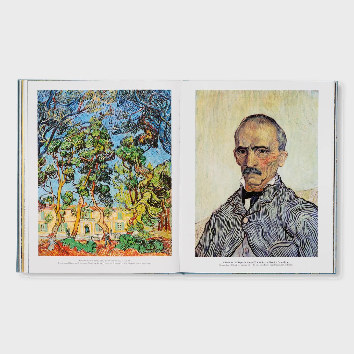 VAN GOGH - THE BIGGER PICTURE by Anne Sefrioui