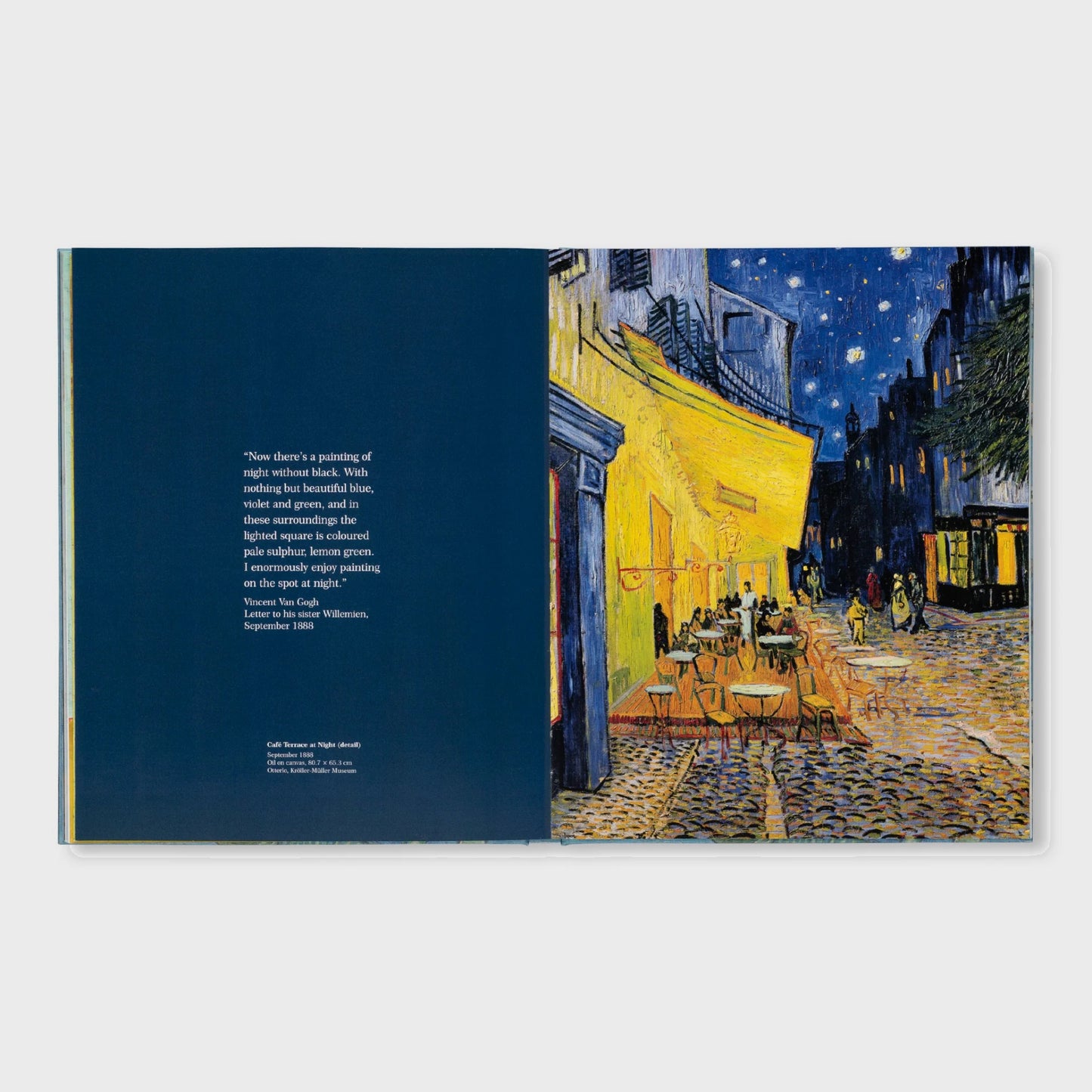 VAN GOGH - THE BIGGER PICTURE by Anne Sefrioui