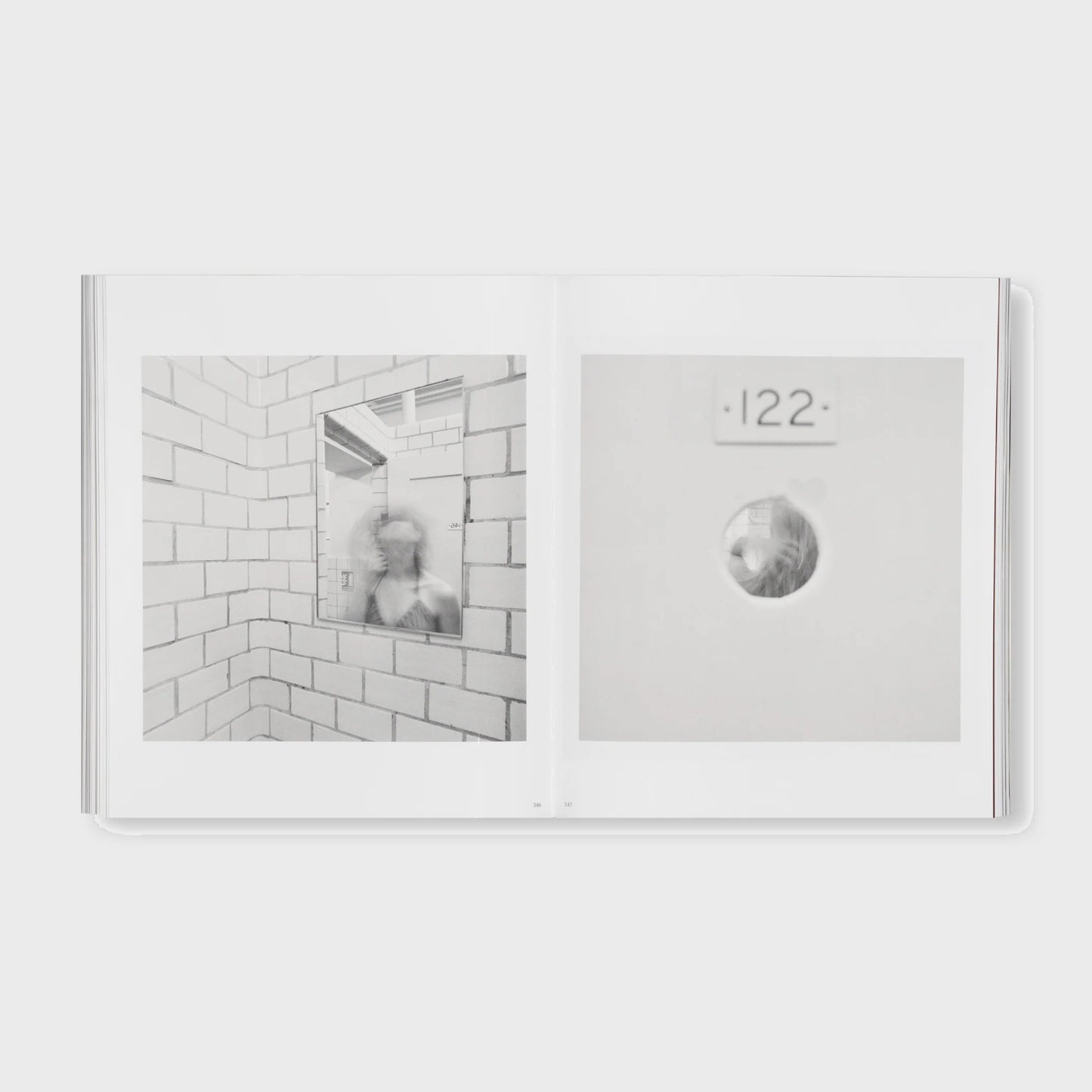 THE DETOUR OF IDENTITY by Roni Horn