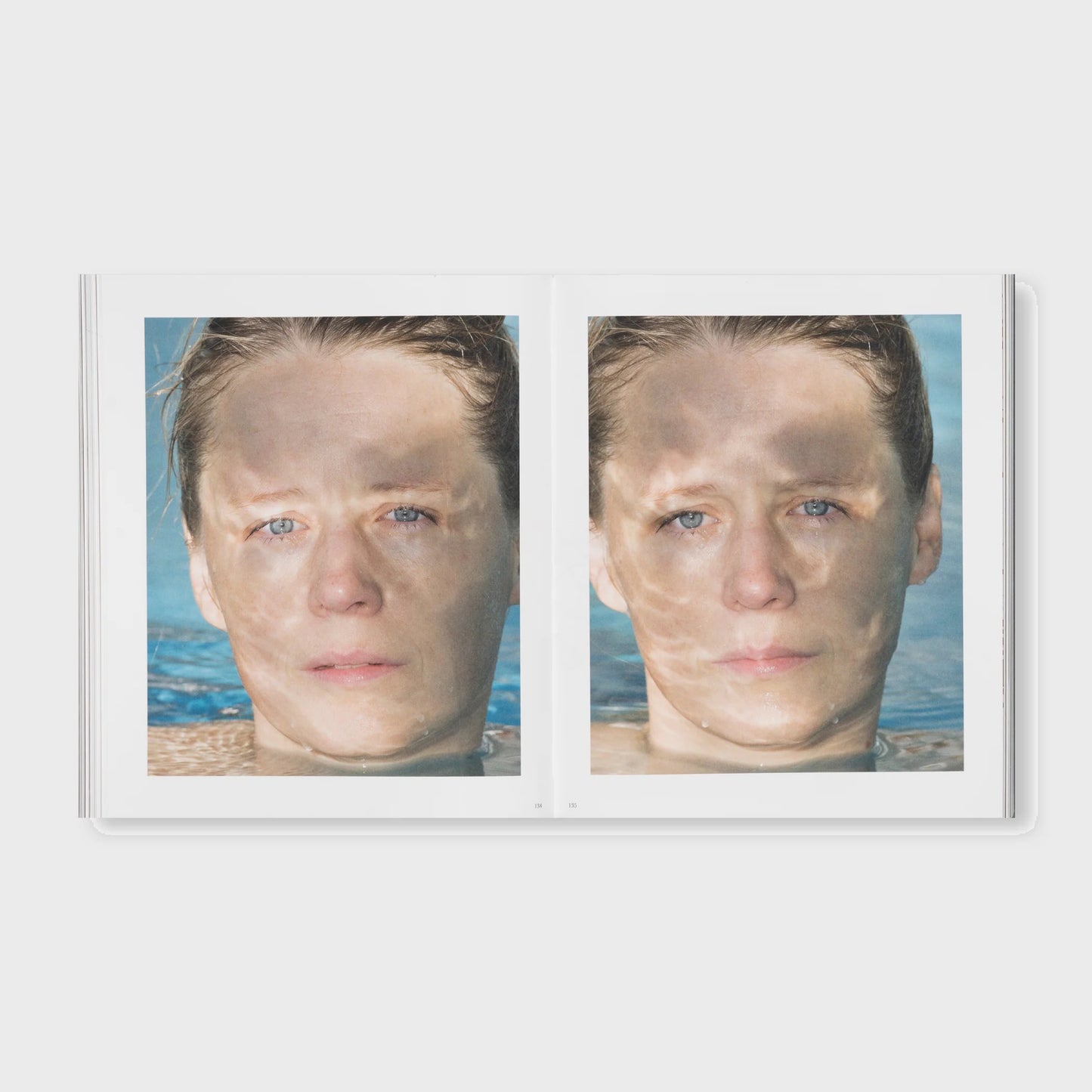 THE DETOUR OF IDENTITY by Roni Horn