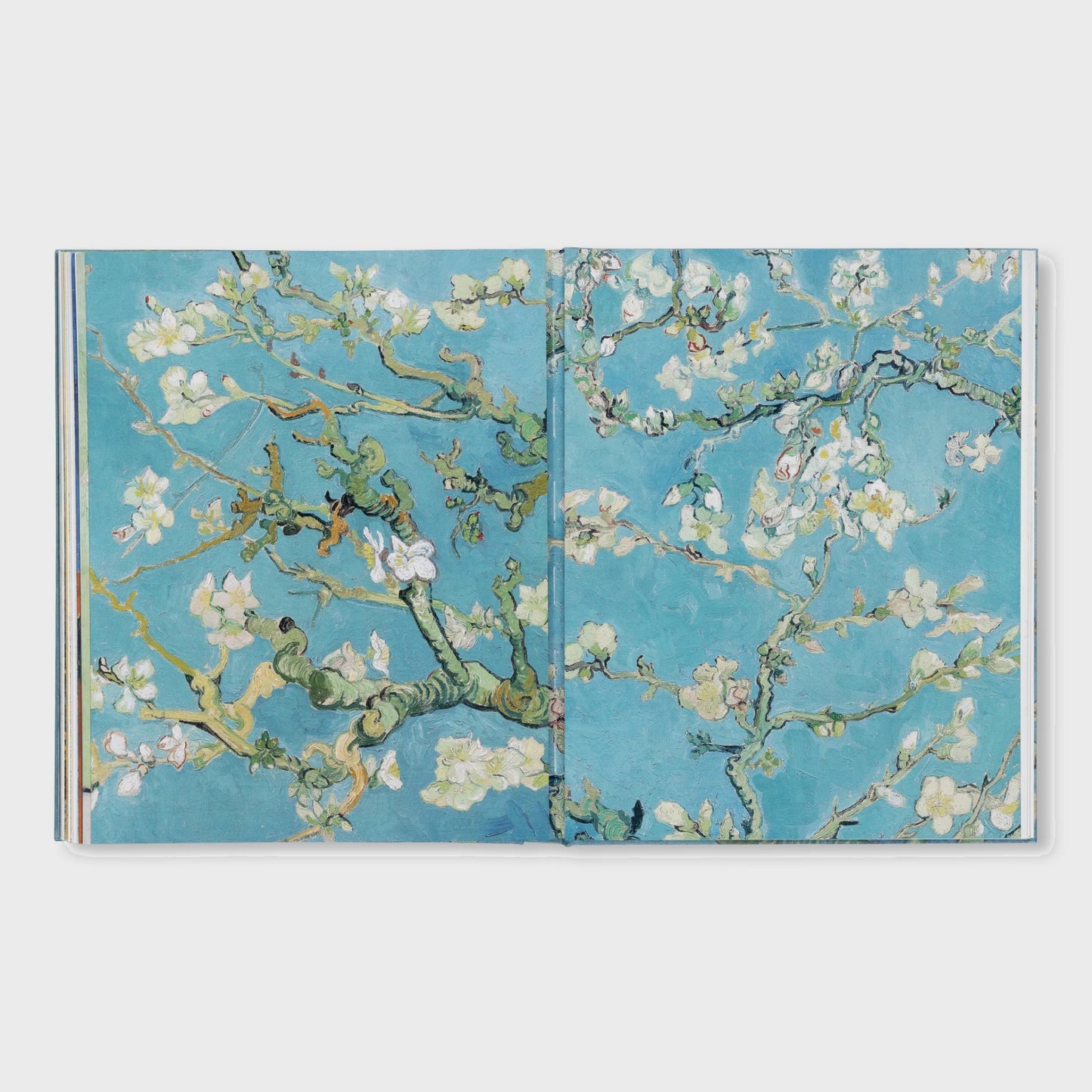 VAN GOGH - THE BIGGER PICTURE by Anne Sefrioui