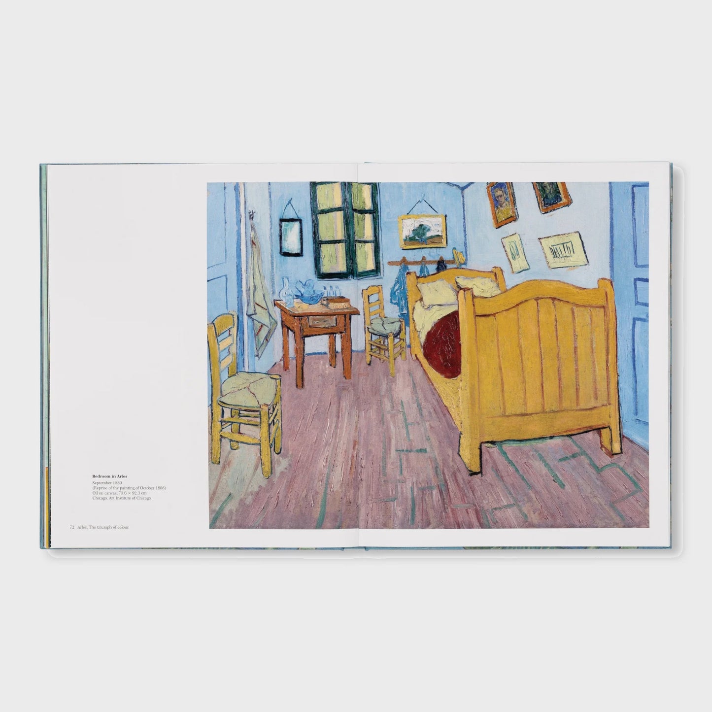 VAN GOGH - THE BIGGER PICTURE by Anne Sefrioui
