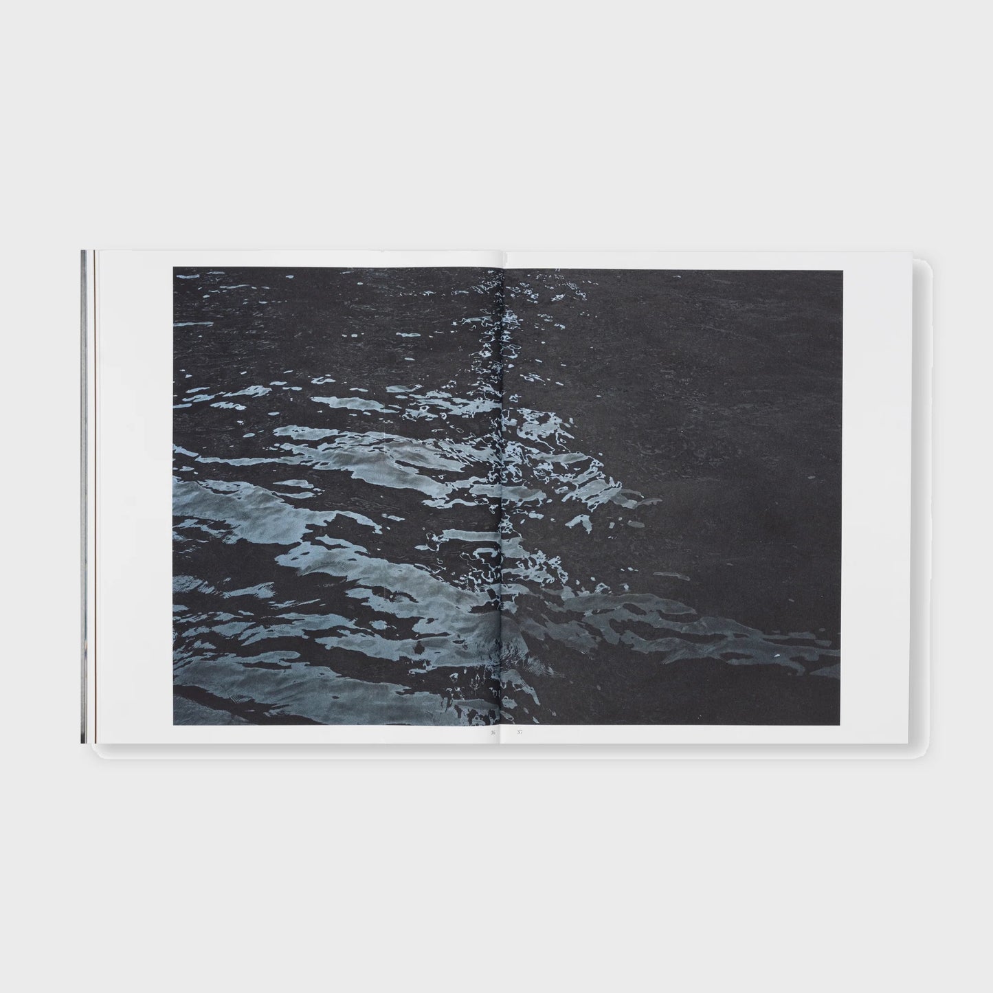 THE DETOUR OF IDENTITY by Roni Horn