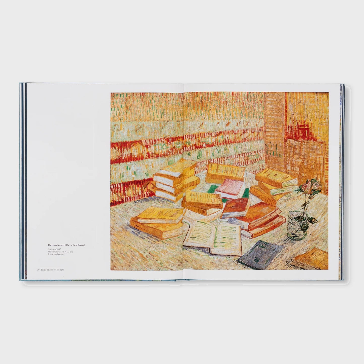 VAN GOGH - THE BIGGER PICTURE by Anne Sefrioui