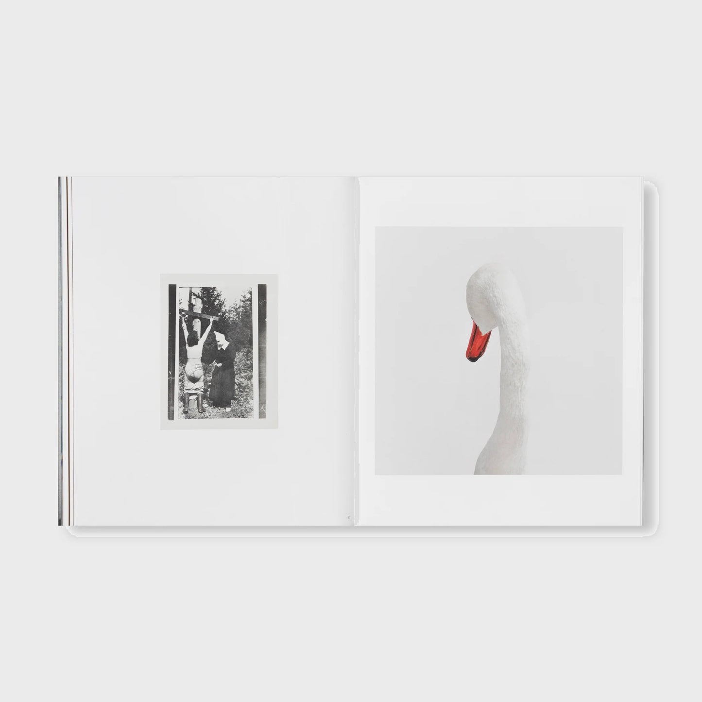 THE DETOUR OF IDENTITY by Roni Horn