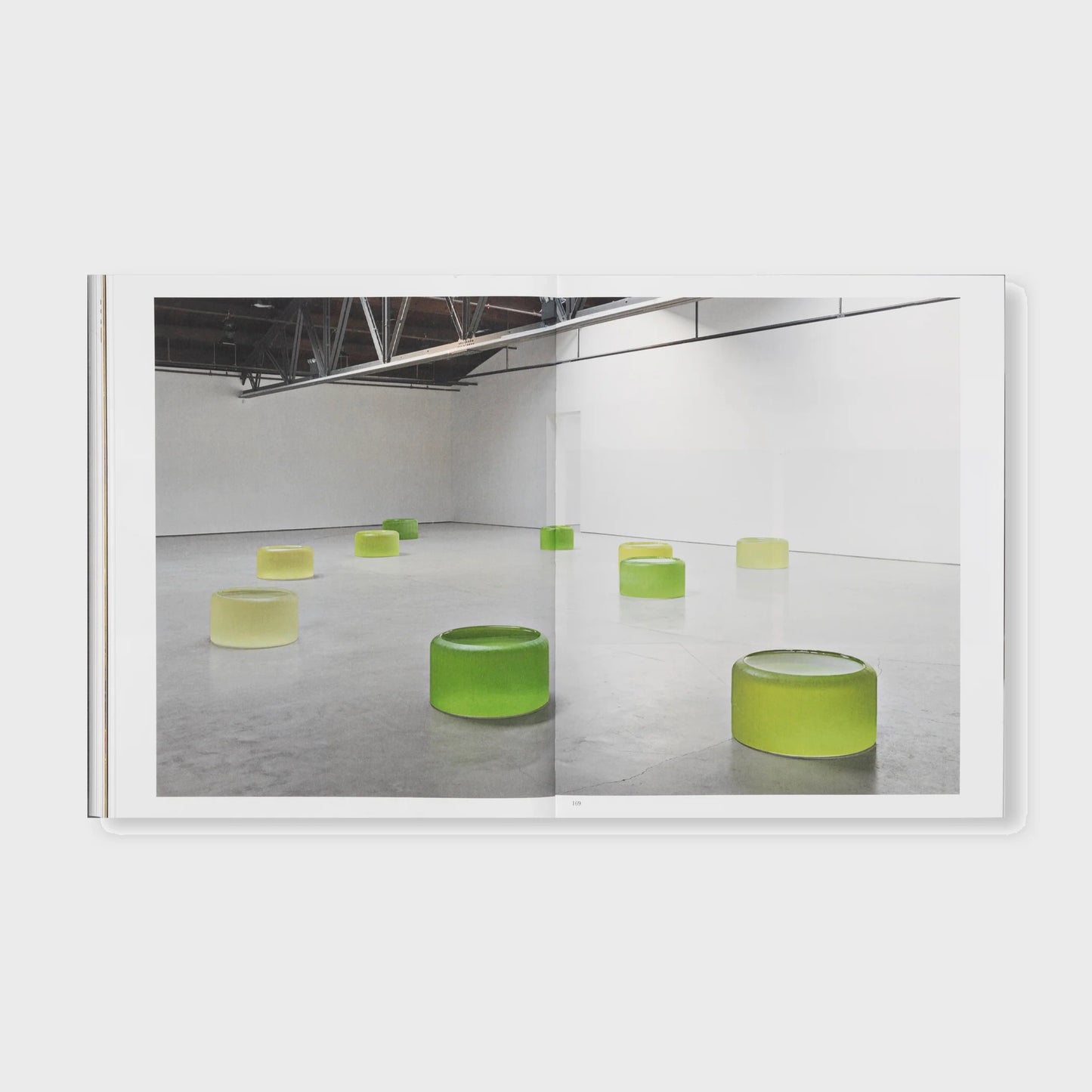 THE DETOUR OF IDENTITY by Roni Horn