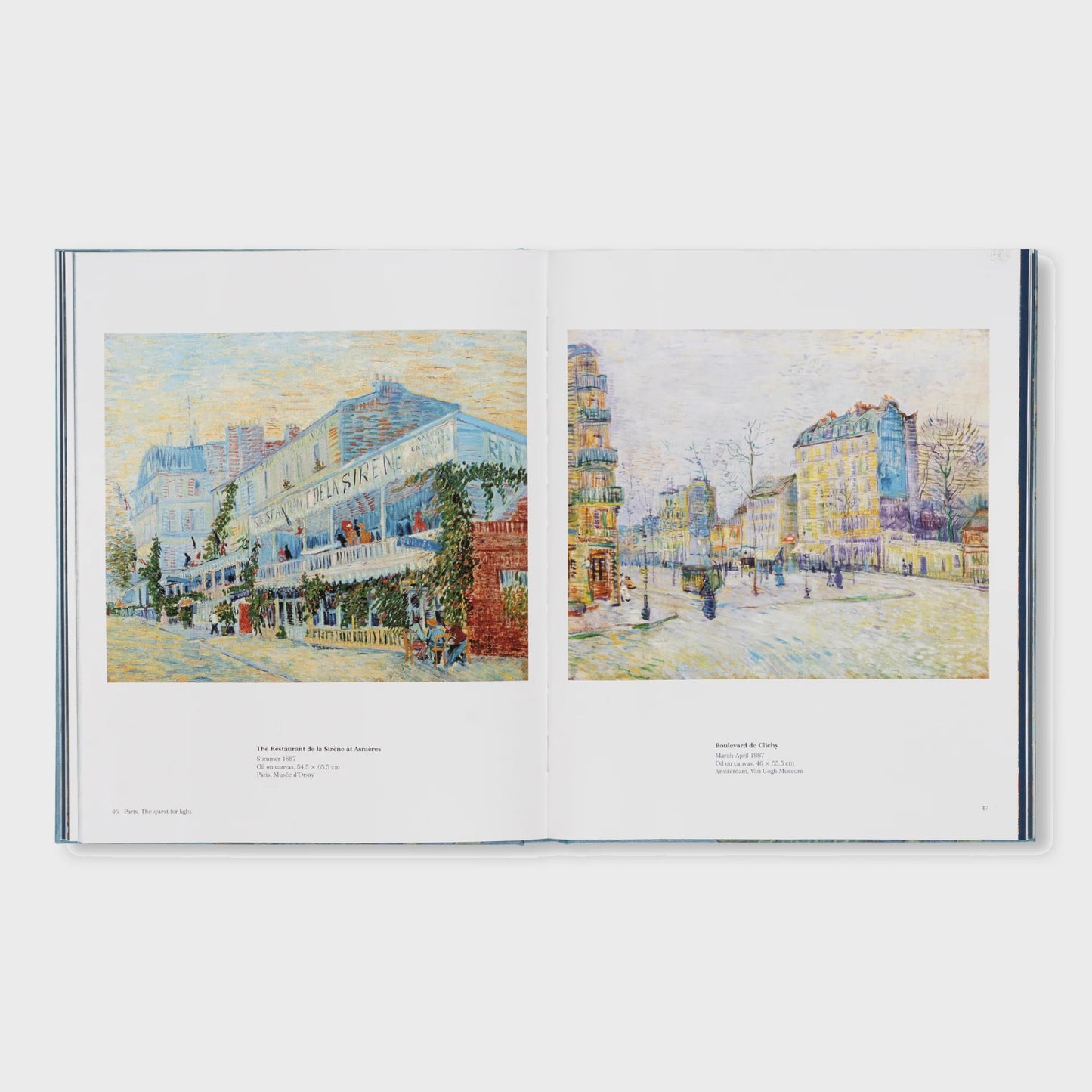 VAN GOGH - THE BIGGER PICTURE by Anne Sefrioui