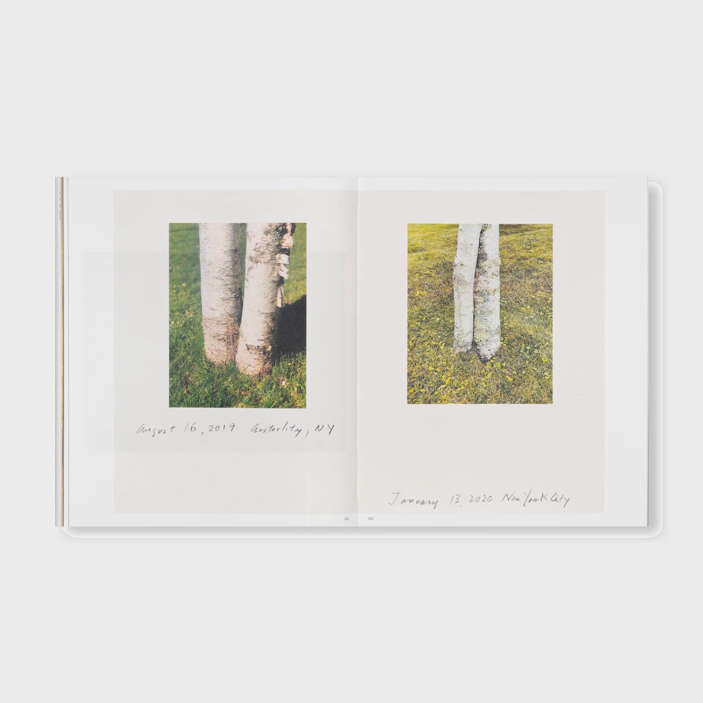 THE DETOUR OF IDENTITY by Roni Horn