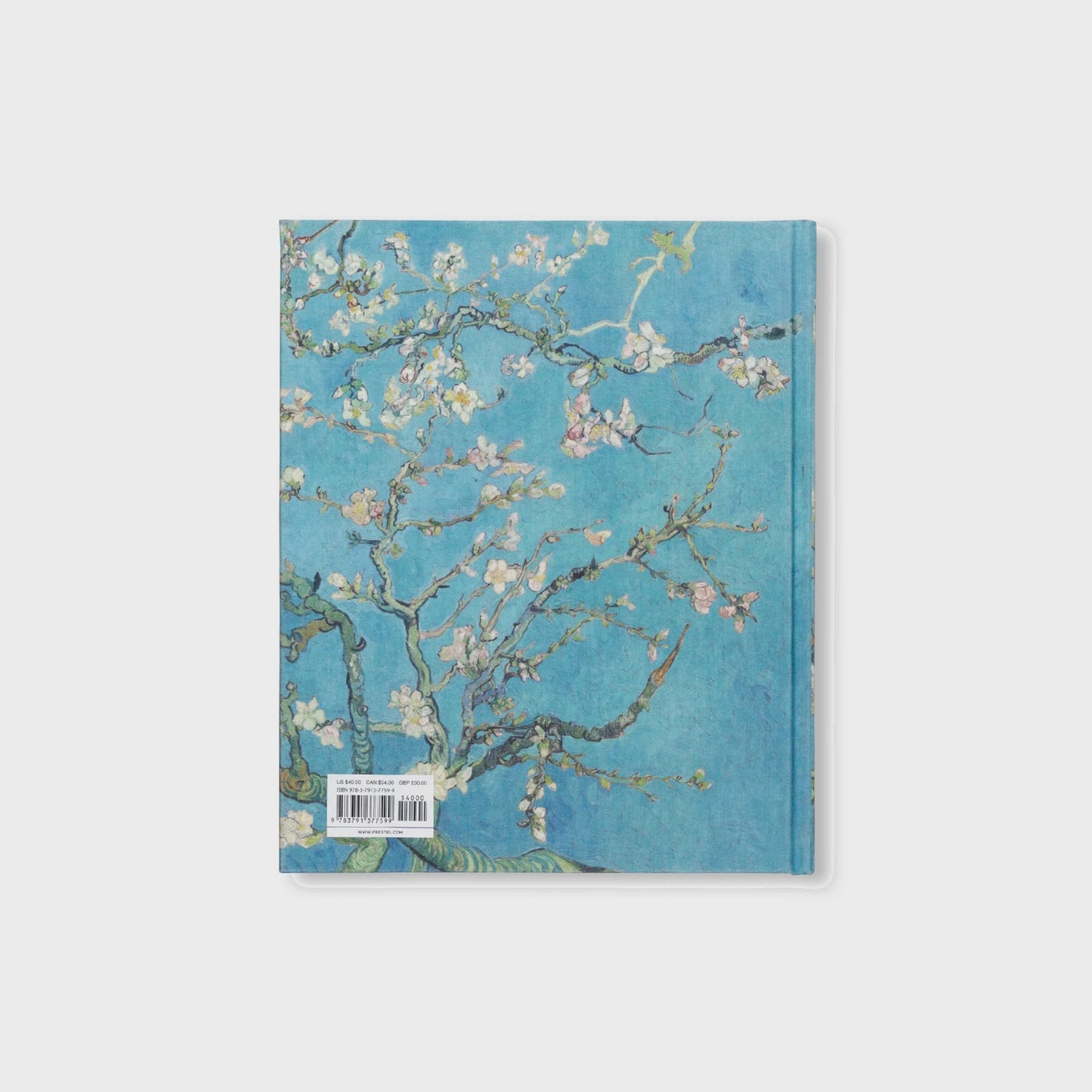VAN GOGH - THE BIGGER PICTURE by Anne Sefrioui