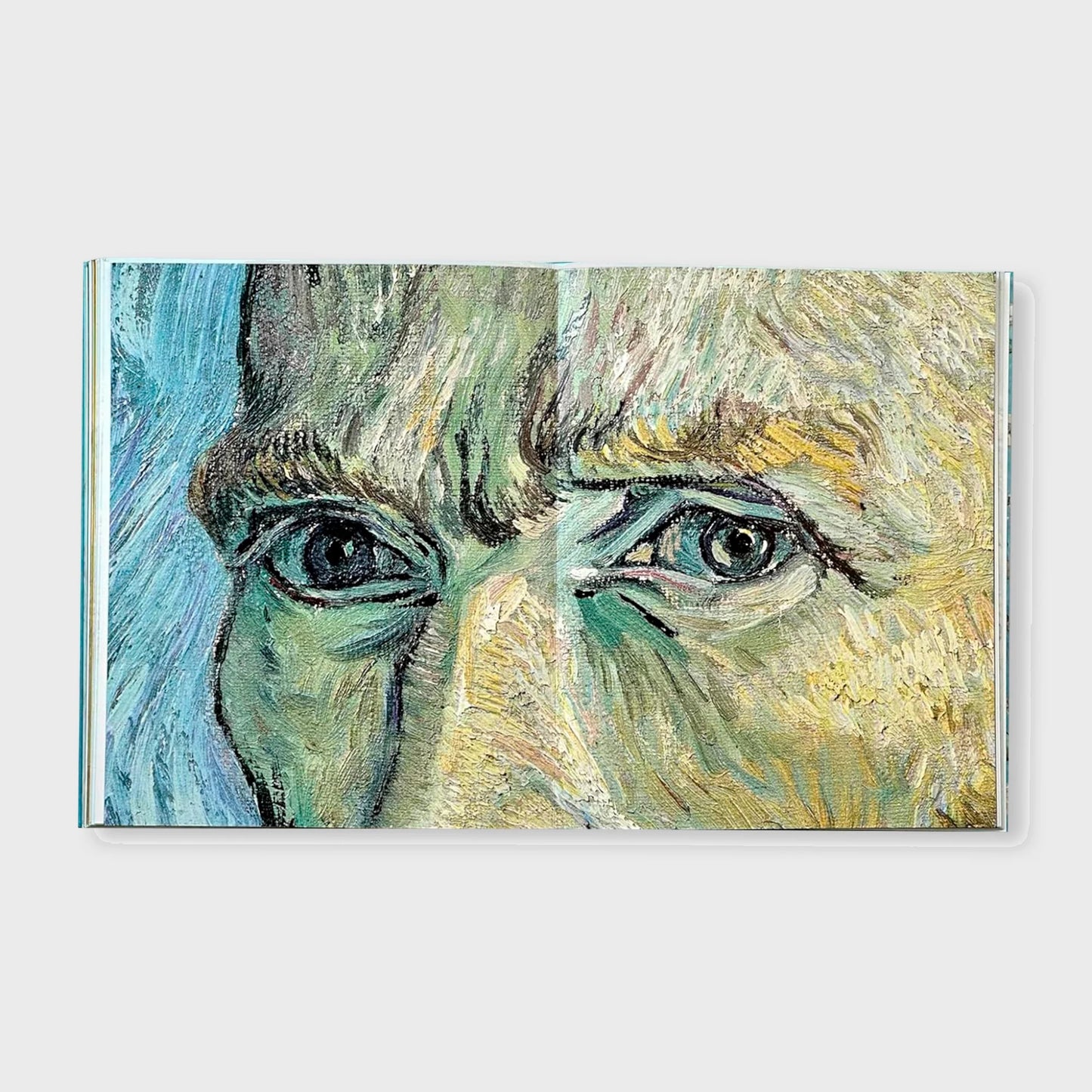 VAN GOGH - THE BIGGER PICTURE by Anne Sefrioui