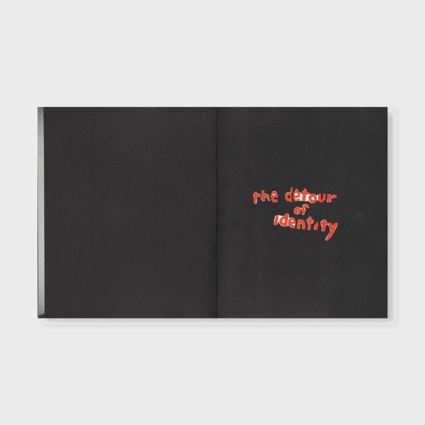 THE DETOUR OF IDENTITY by Roni Horn