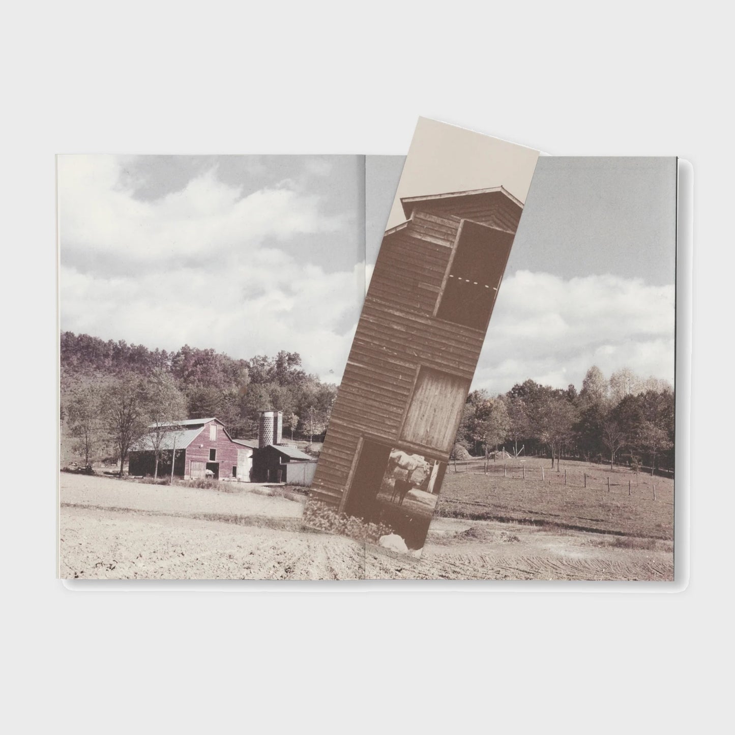 THE FARM AT BLACK MOUNTAIN COLLEGE by David Silver