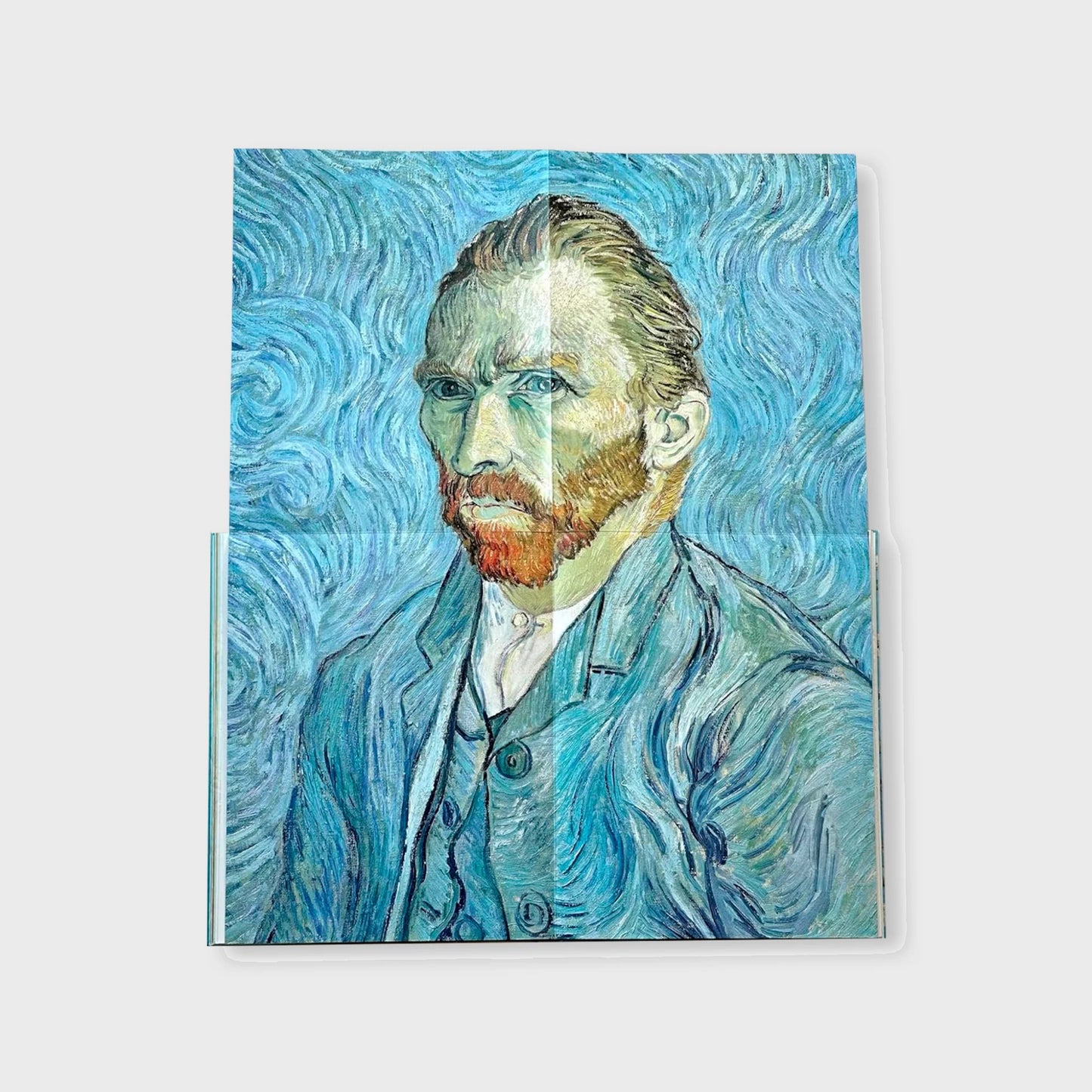 VAN GOGH - THE BIGGER PICTURE by Anne Sefrioui