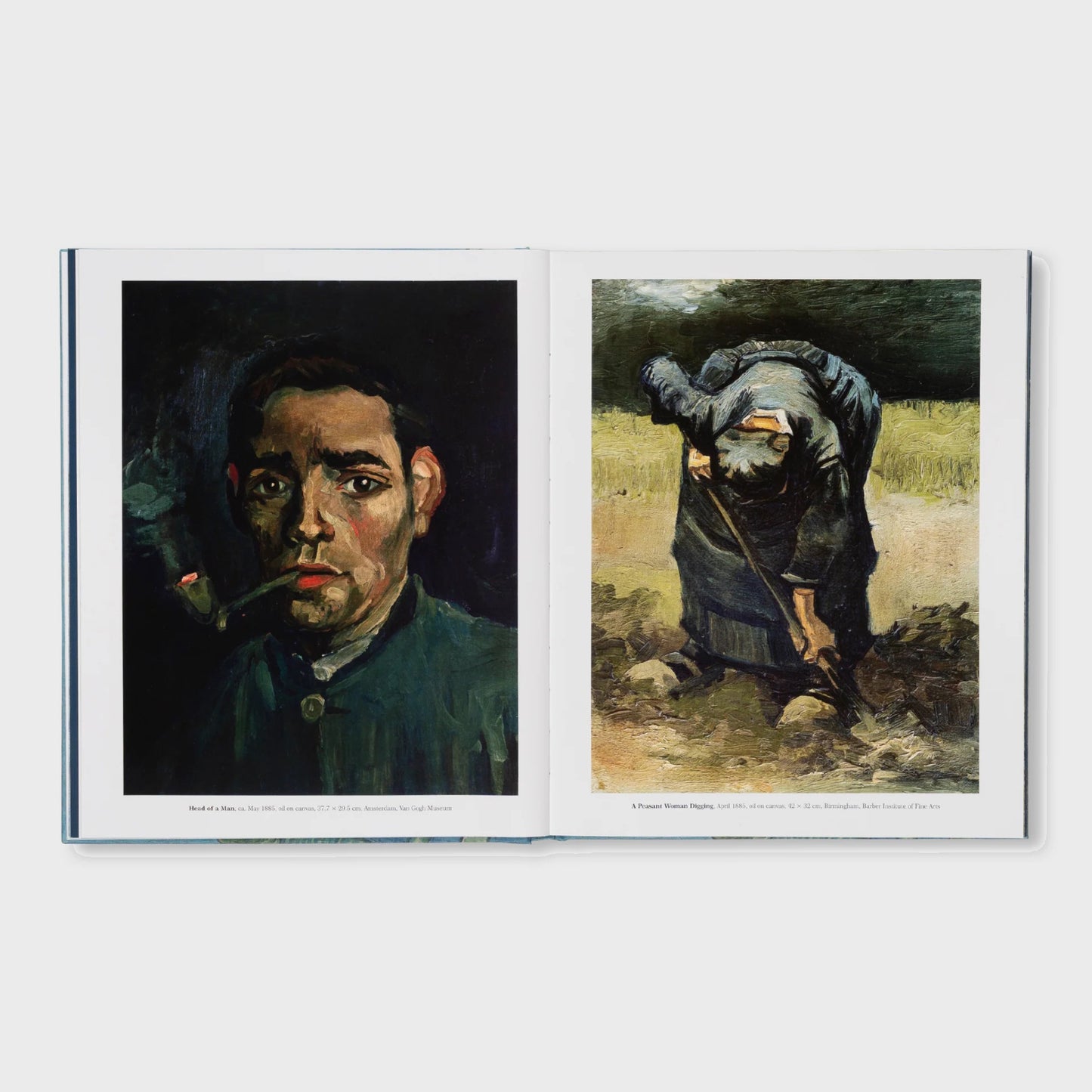 VAN GOGH - THE BIGGER PICTURE by Anne Sefrioui