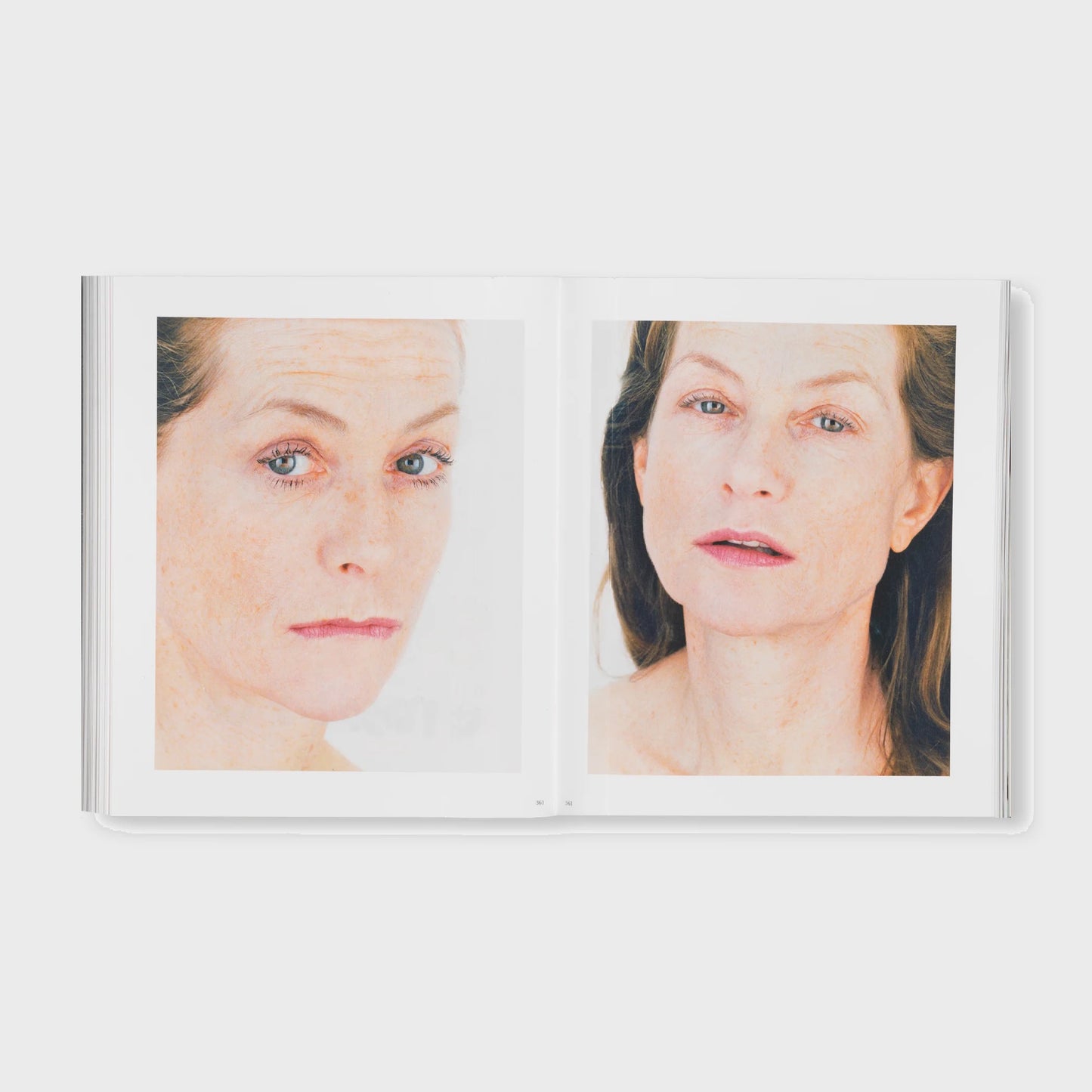 THE DETOUR OF IDENTITY by Roni Horn