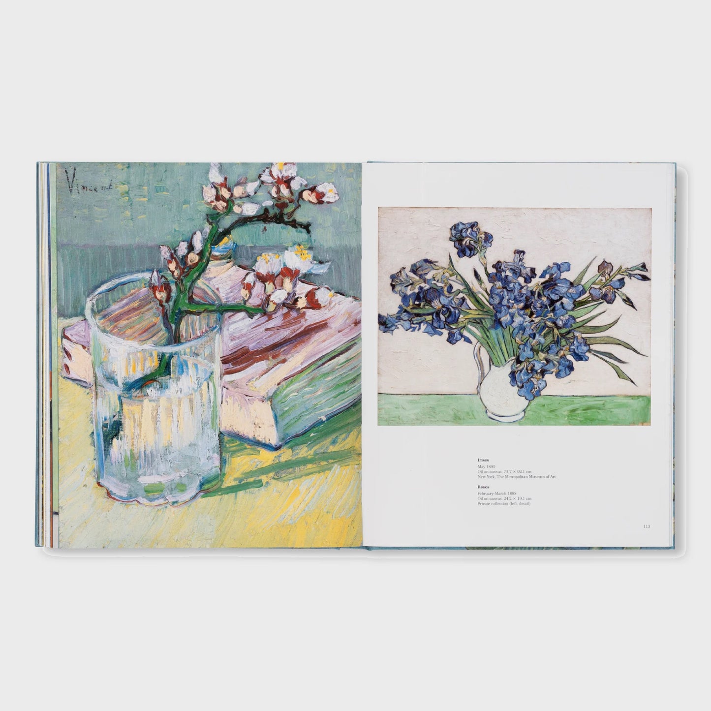 VAN GOGH - THE BIGGER PICTURE by Anne Sefrioui