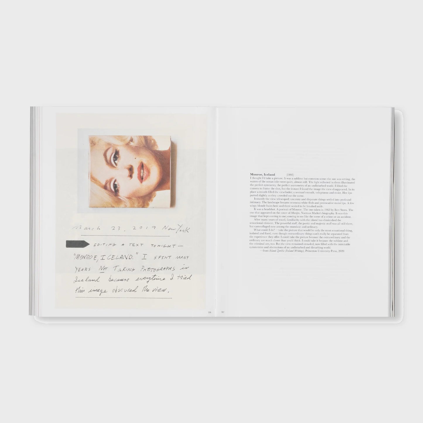 THE DETOUR OF IDENTITY by Roni Horn