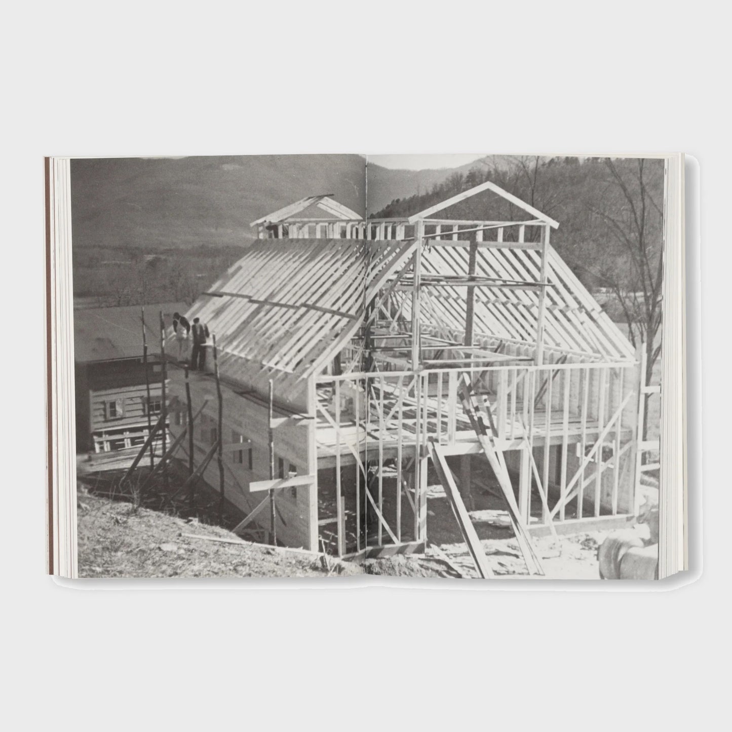 THE FARM AT BLACK MOUNTAIN COLLEGE by David Silver