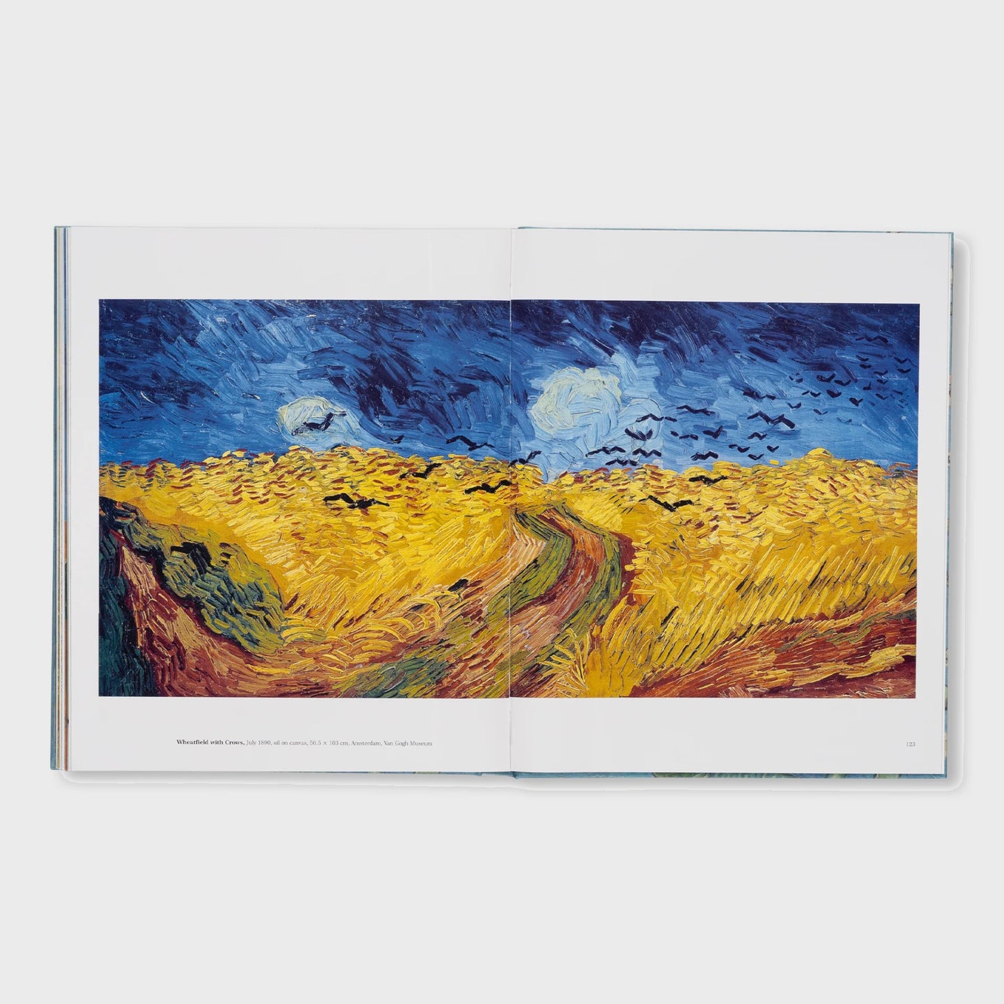VAN GOGH - THE BIGGER PICTURE by Anne Sefrioui