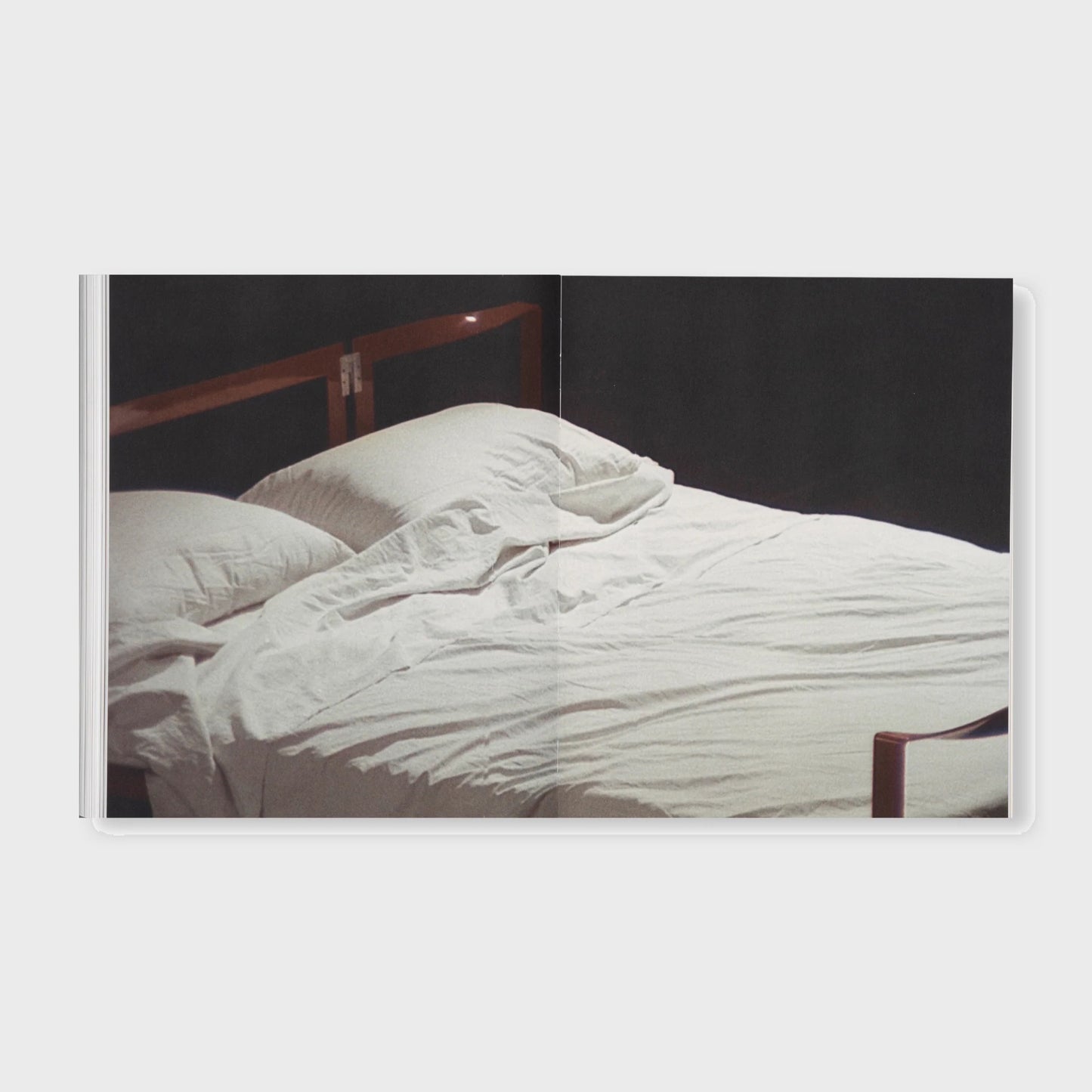 THE DETOUR OF IDENTITY by Roni Horn