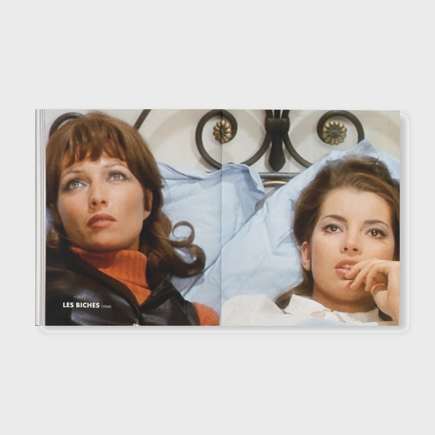 THE DETOUR OF IDENTITY by Roni Horn