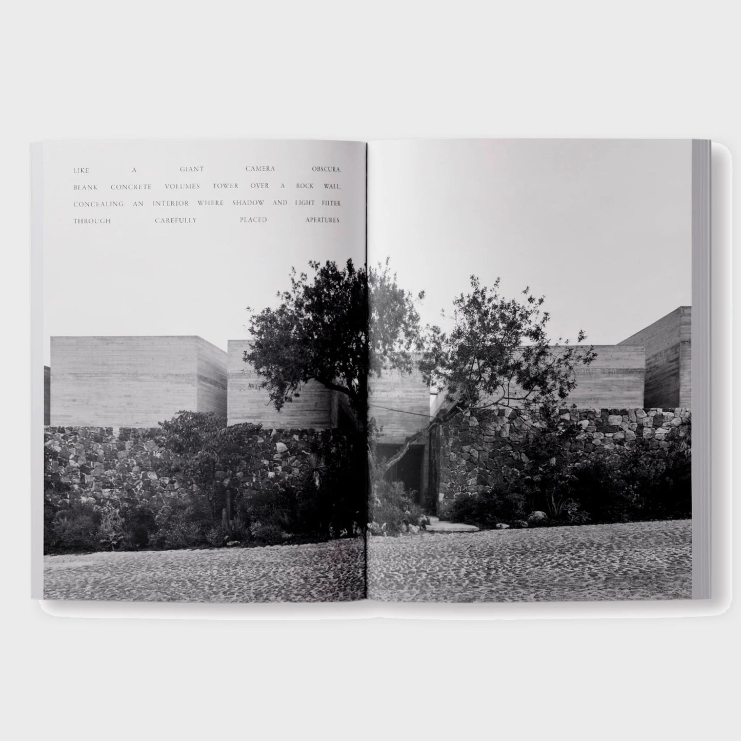 ARK JOURNAL VOL XII AUTUMN/WINTER 2024/25
