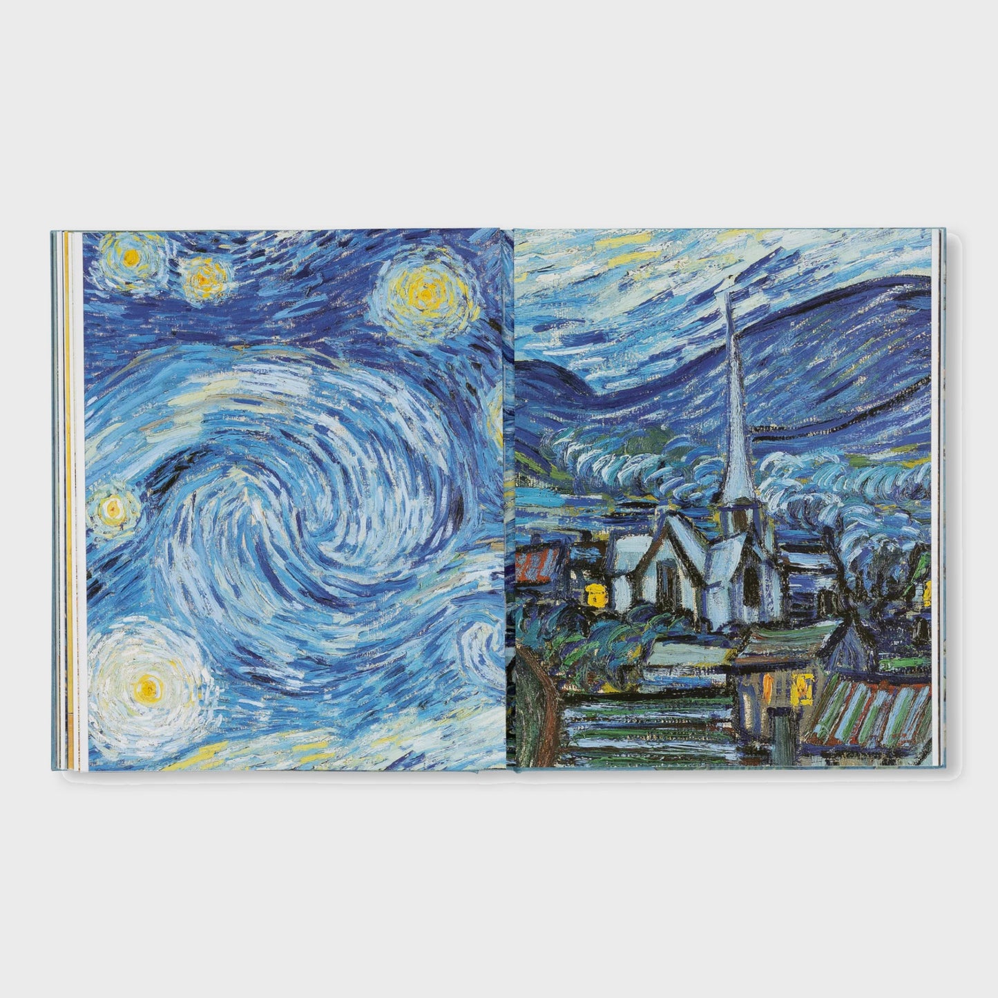 VAN GOGH - THE BIGGER PICTURE by Anne Sefrioui