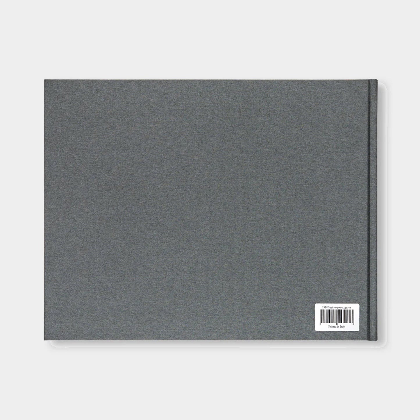 【ART BOOK】TREATISE ON THE VEIL, 1970 by Cy Twombly