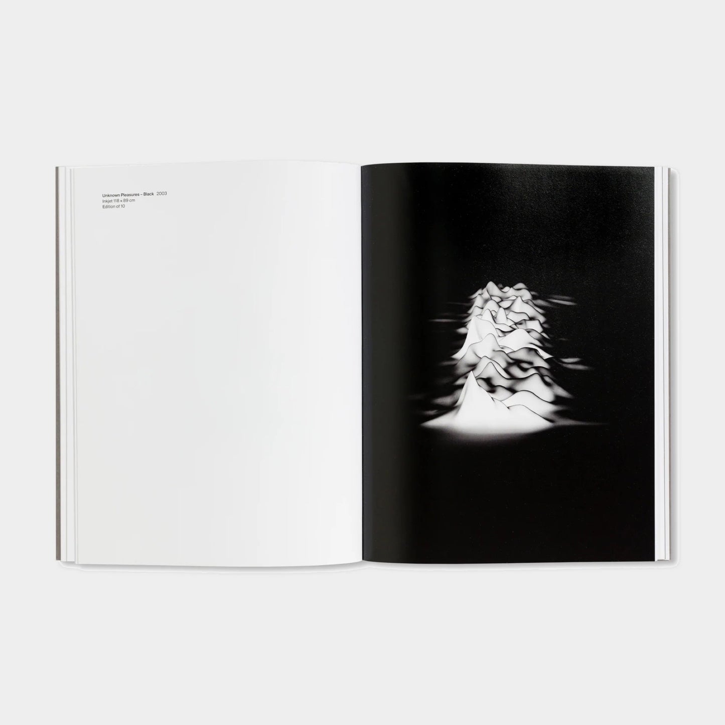 PRINTS AND MULTIPLES/ANNA BLESSMANN AND PETER SAVILLE by Peter Saville