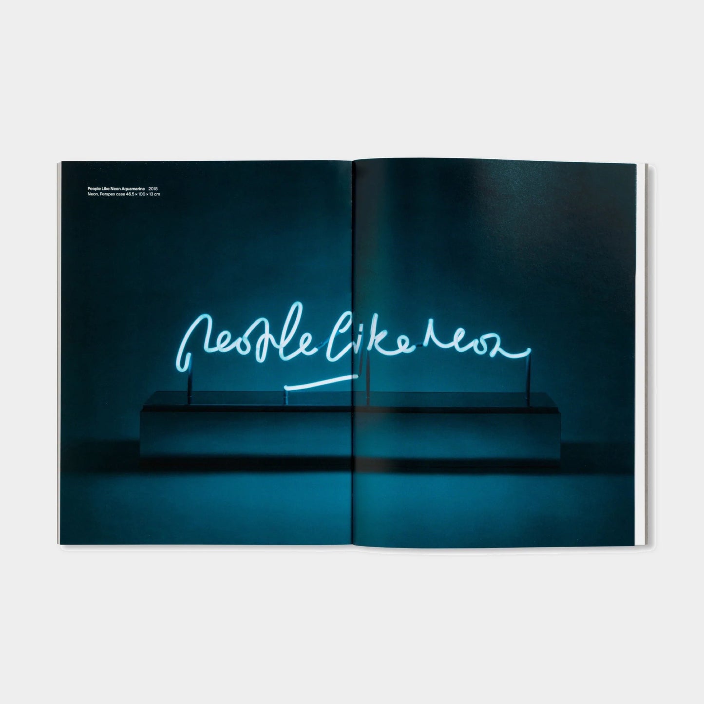 PRINTS AND MULTIPLES/ANNA BLESSMANN AND PETER SAVILLE by Peter Saville
