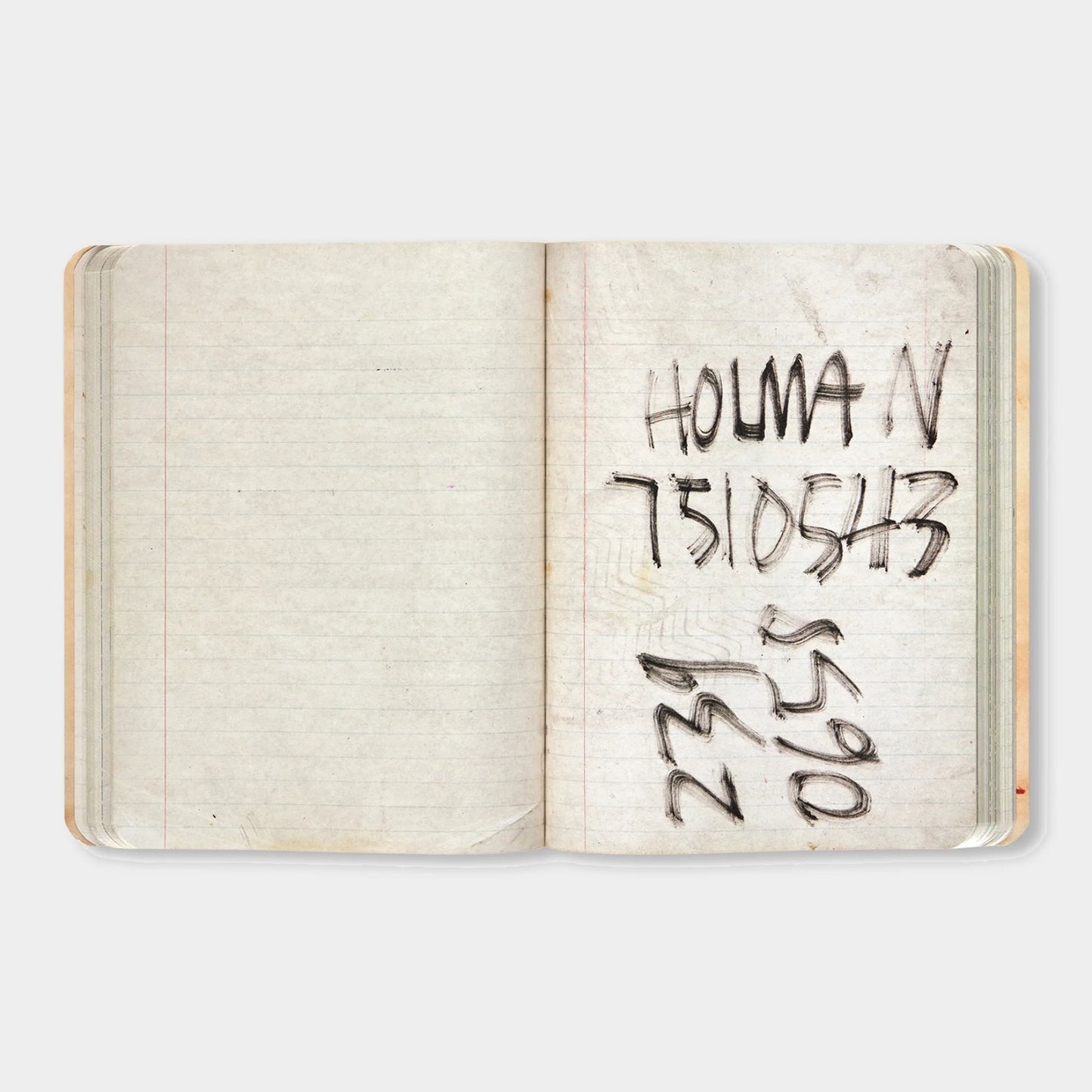 THE NOTEBOOKS by Jean-Michel Basquiat
