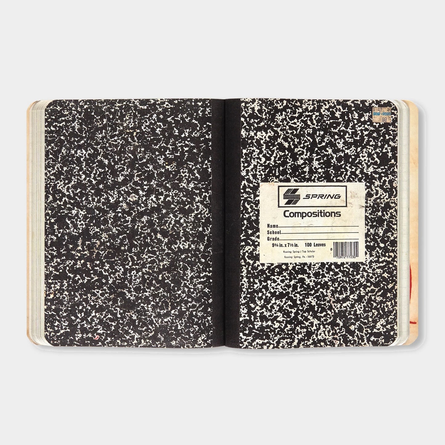 THE NOTEBOOKS by Jean-Michel Basquiat